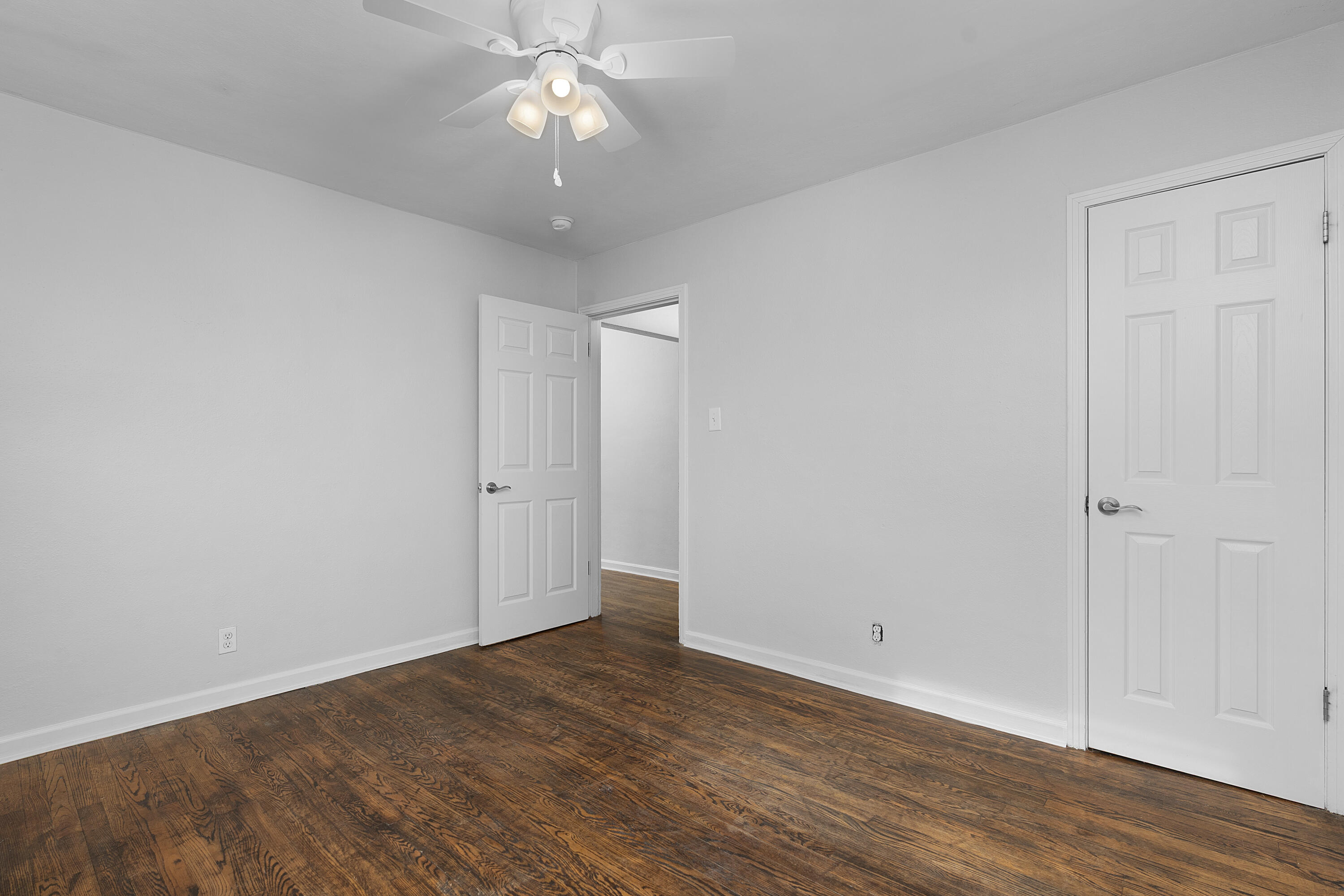 4519 Paw Trail