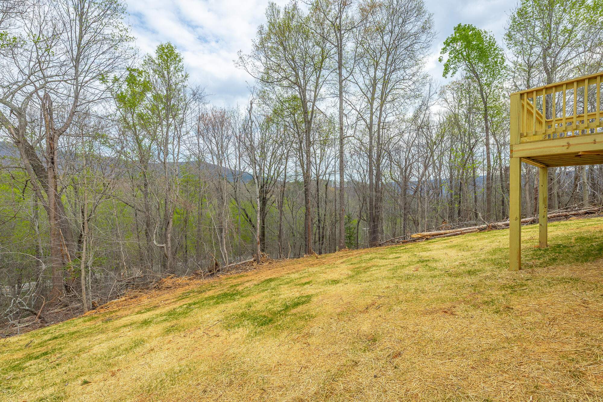 141 Pineway Circle