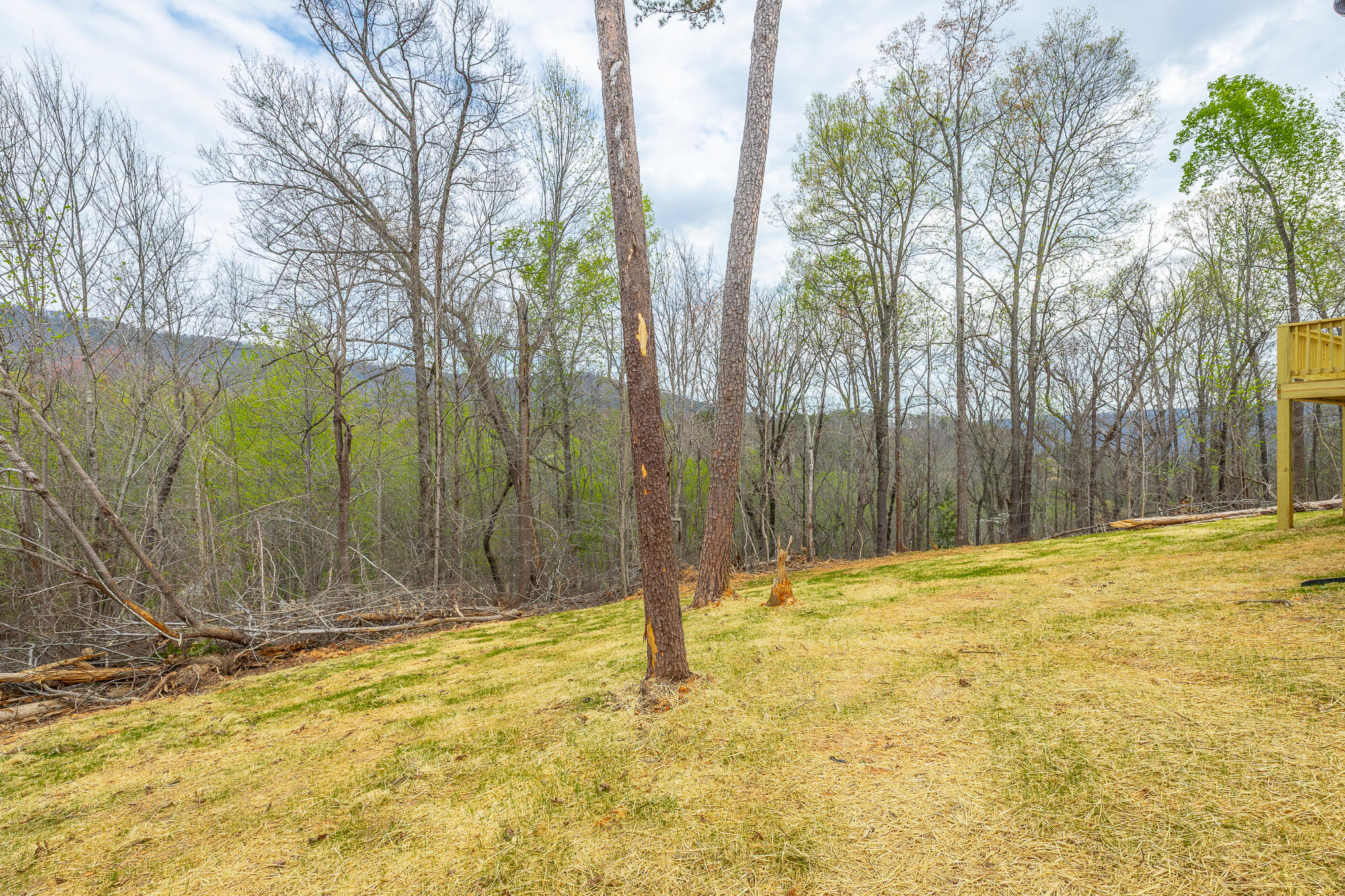 141 Pineway Circle