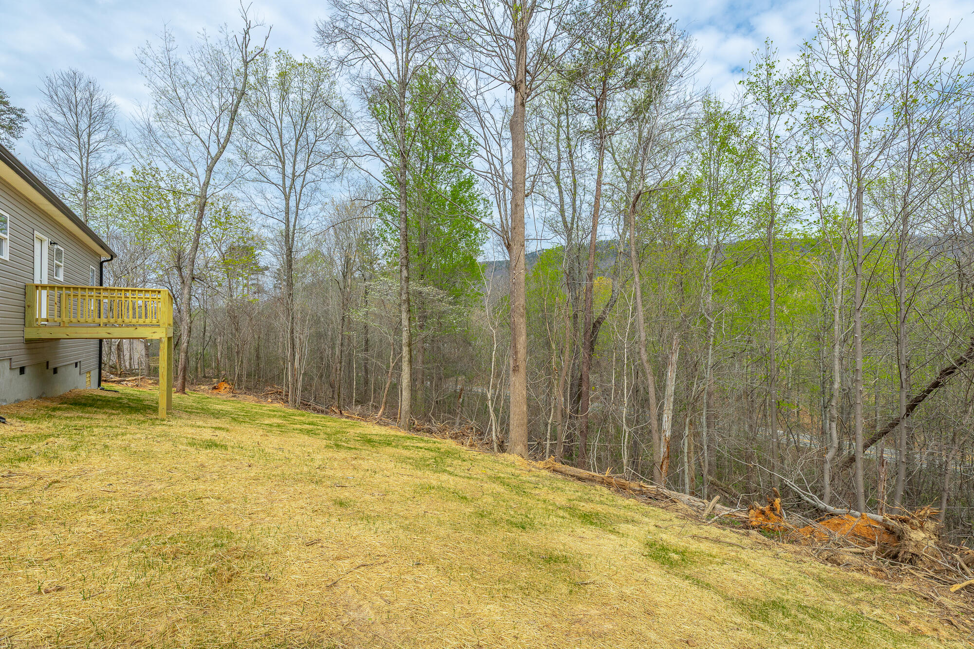 107 Pineway Circle