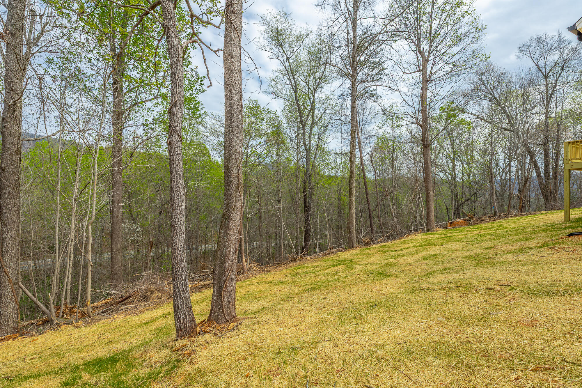 107 Pineway Circle