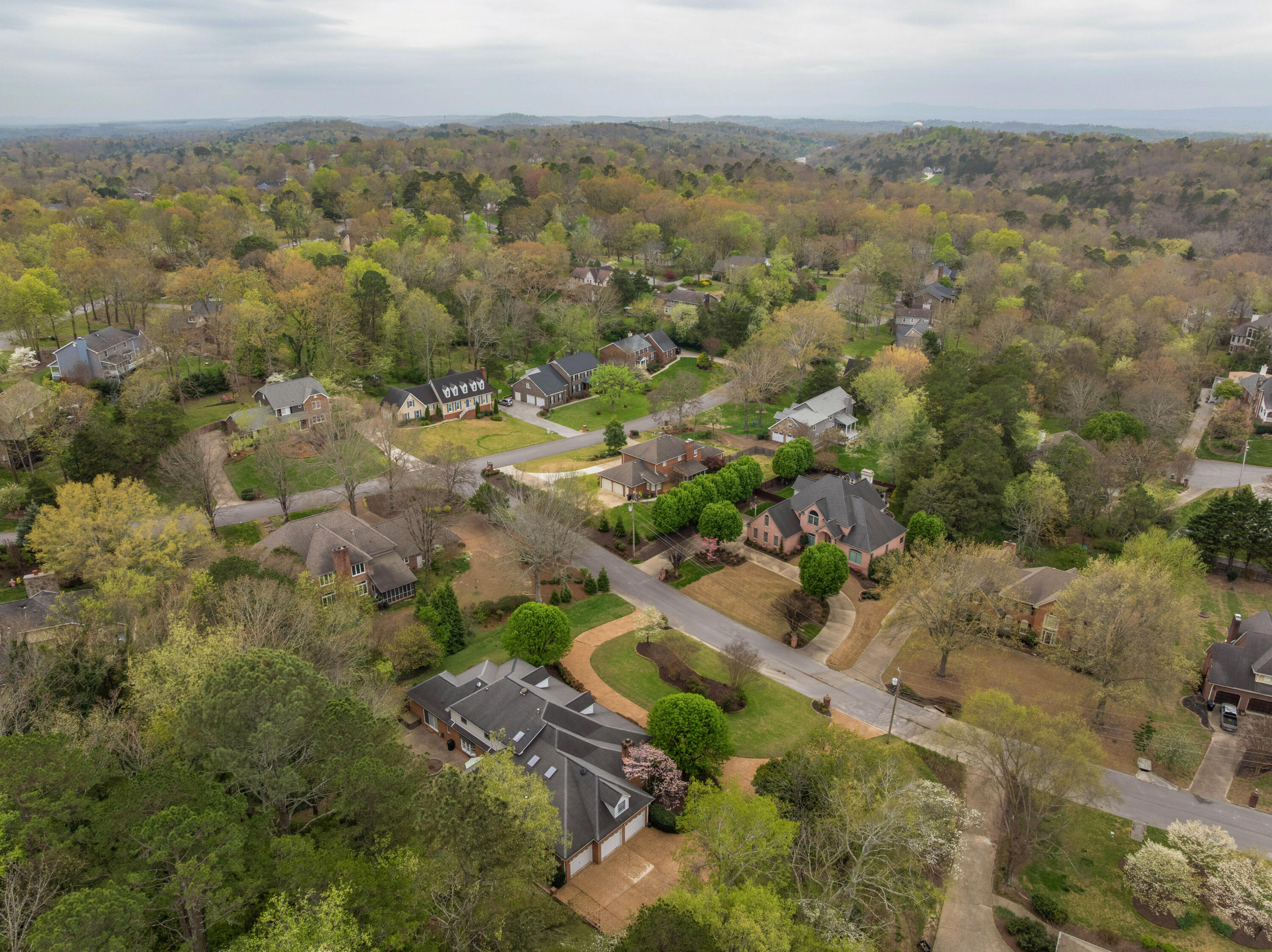 615 Hidden Forest Drive