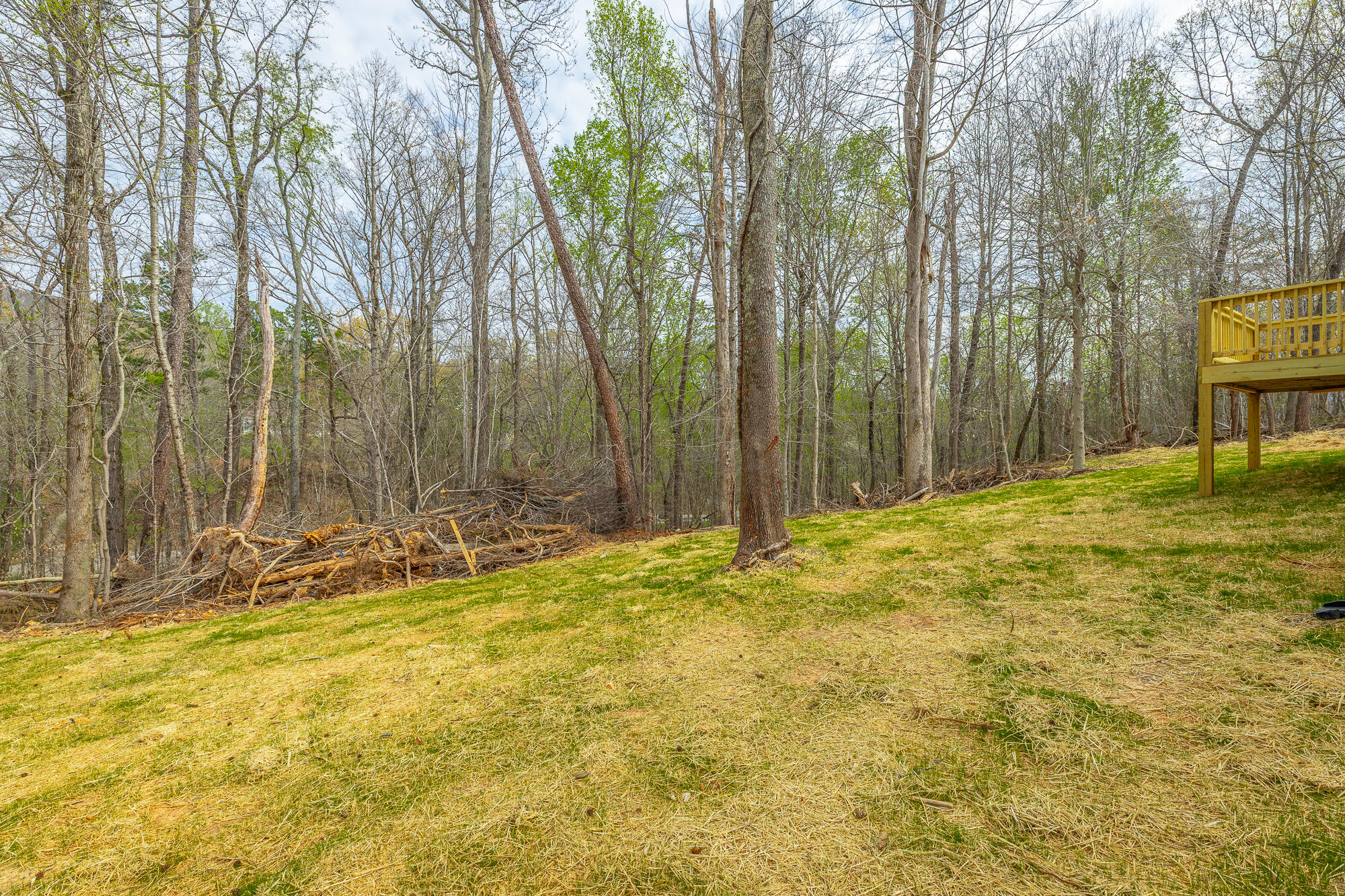 77 Pineway Circle