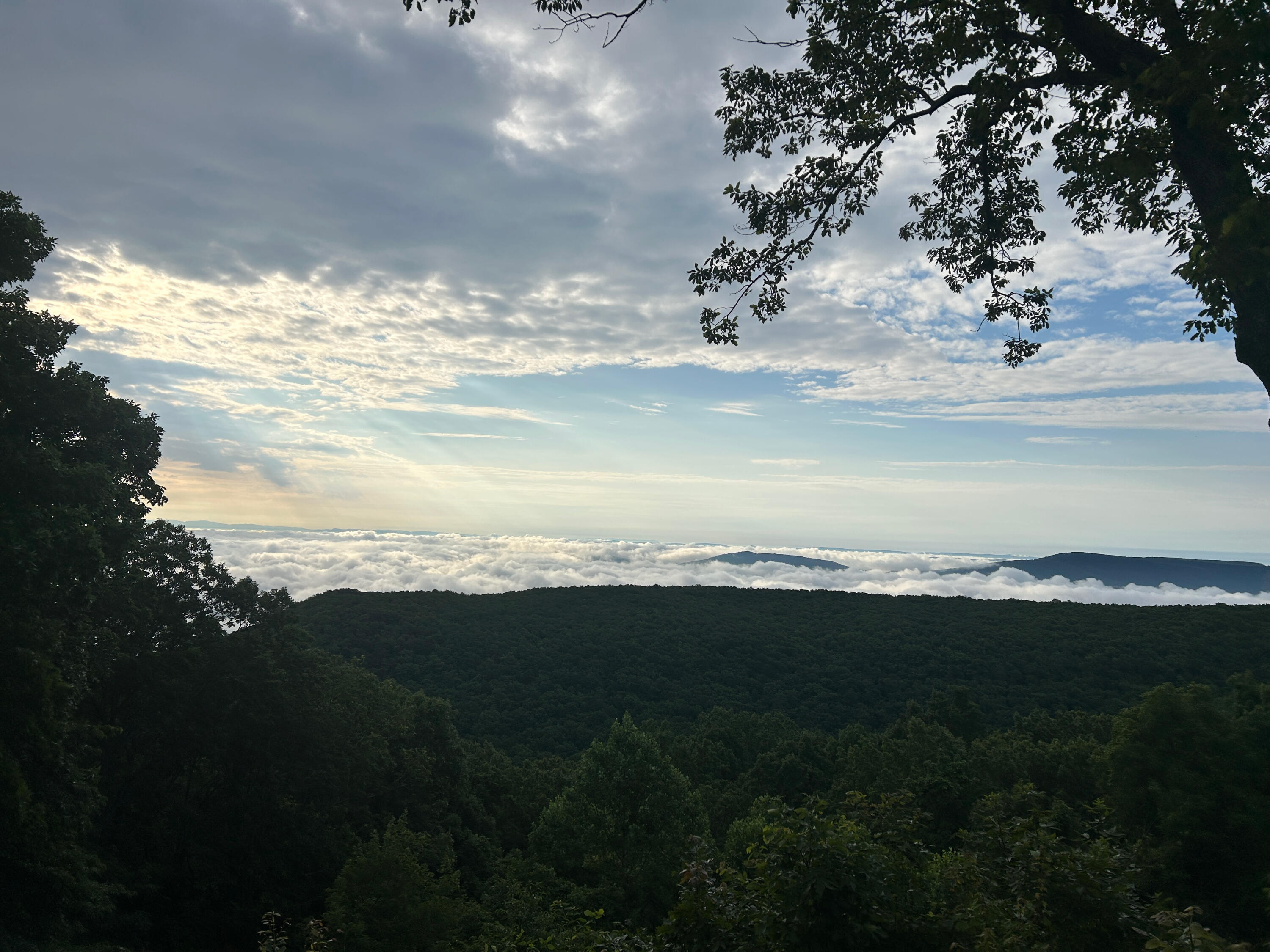 12855 Hwy 157