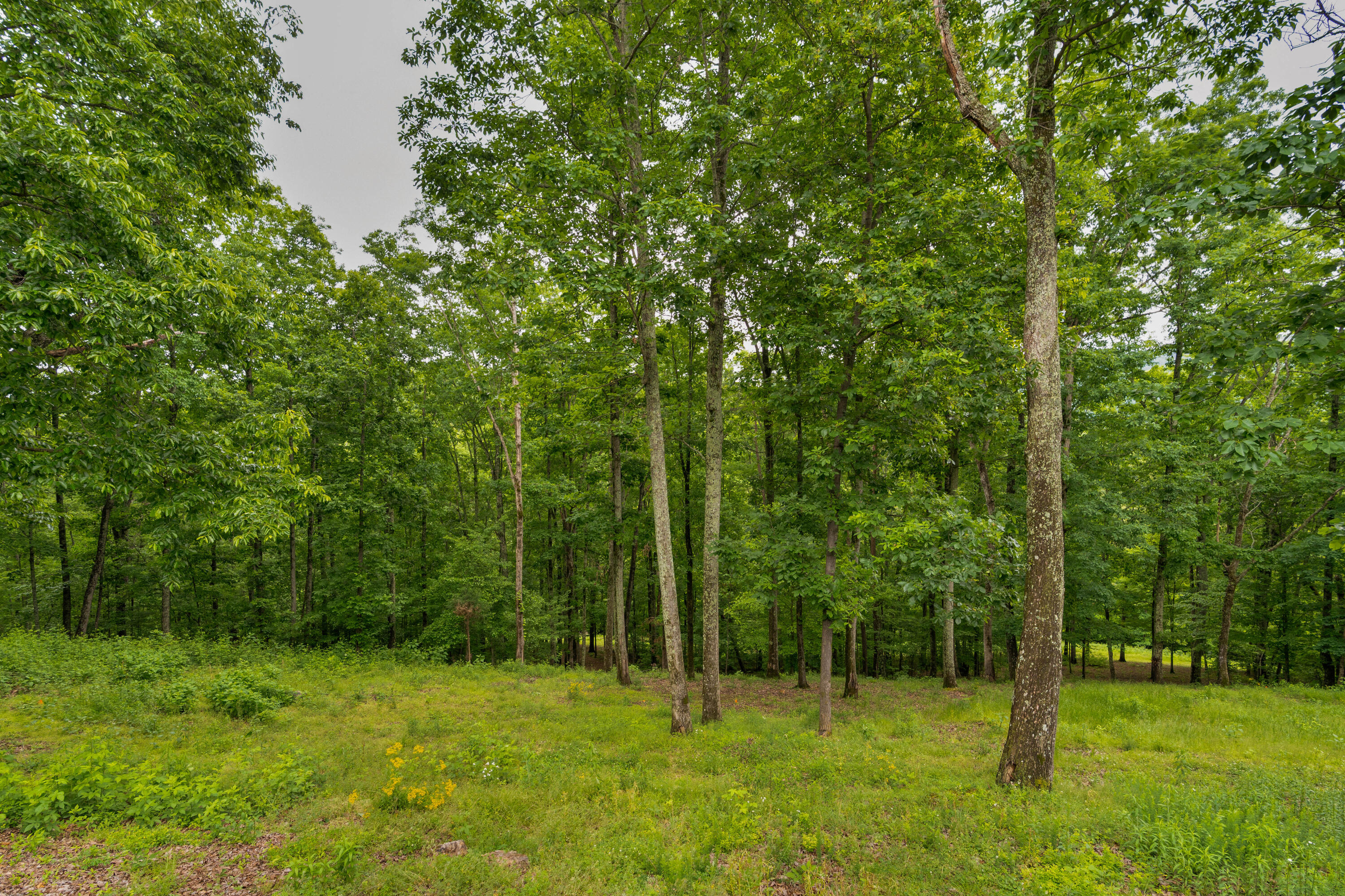 911 New England Road