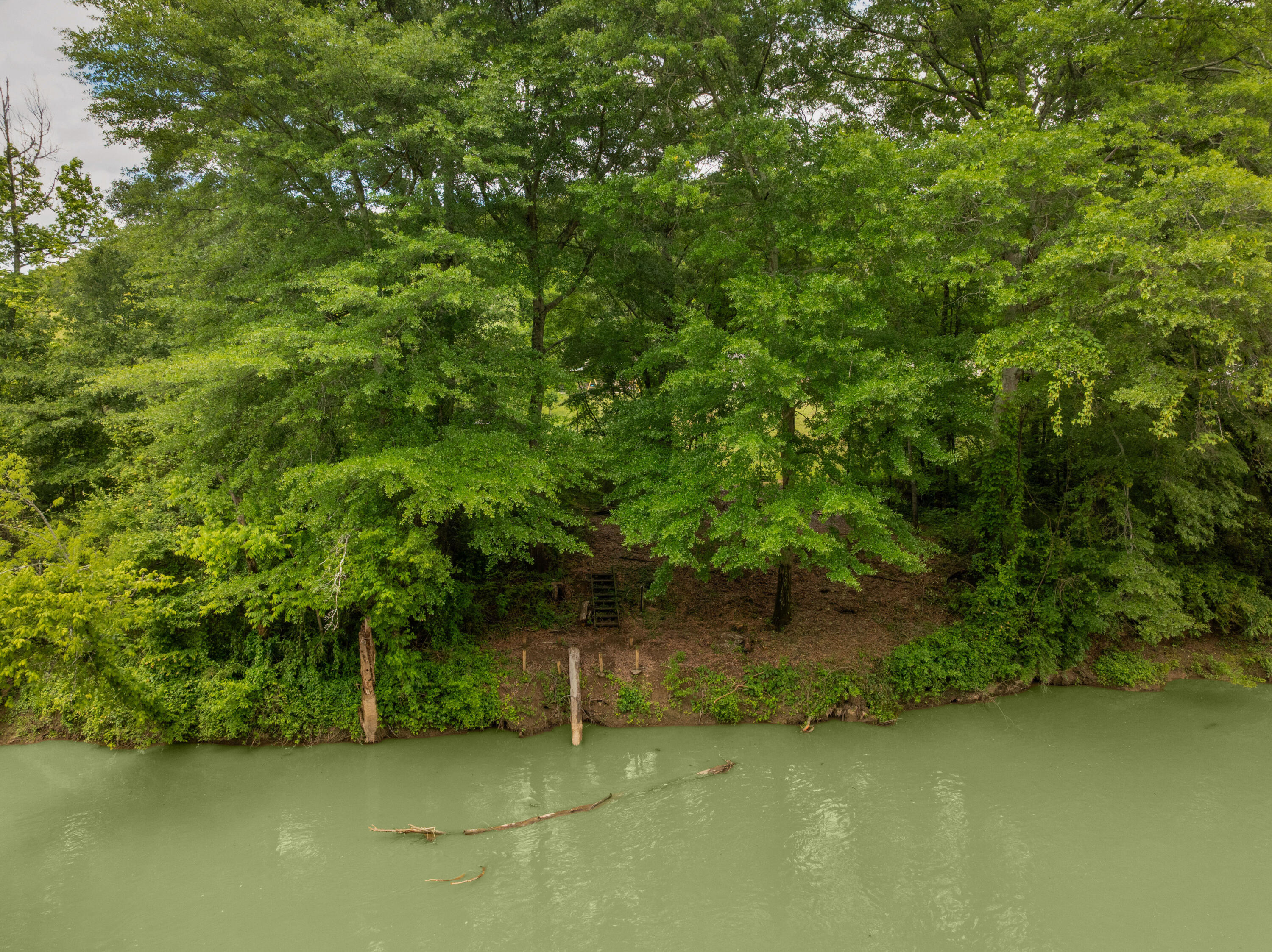 2774 Forest Road