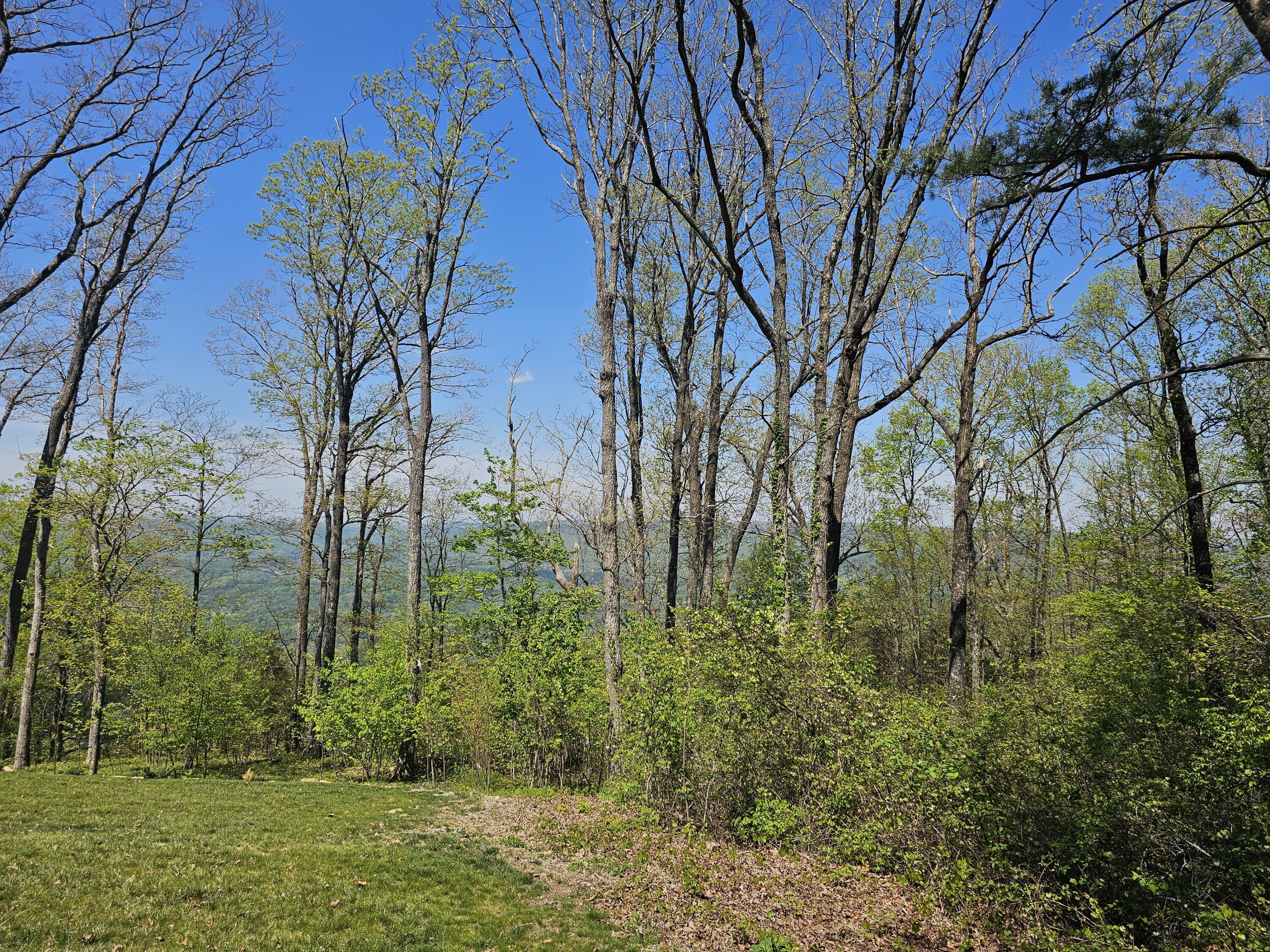 0 Maggie Bluff, Lot 6