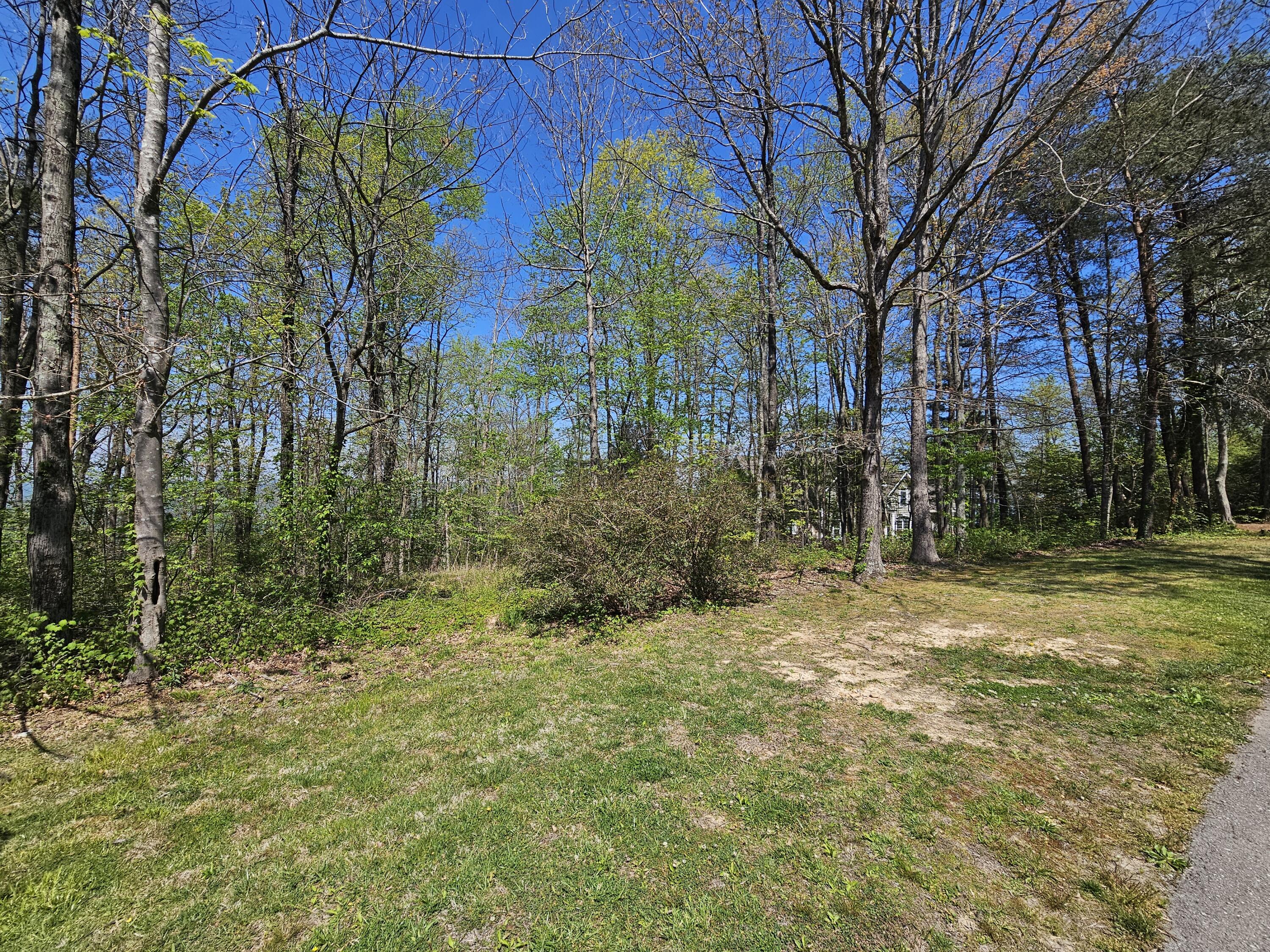 0 Maggie Bluff, Lot 6