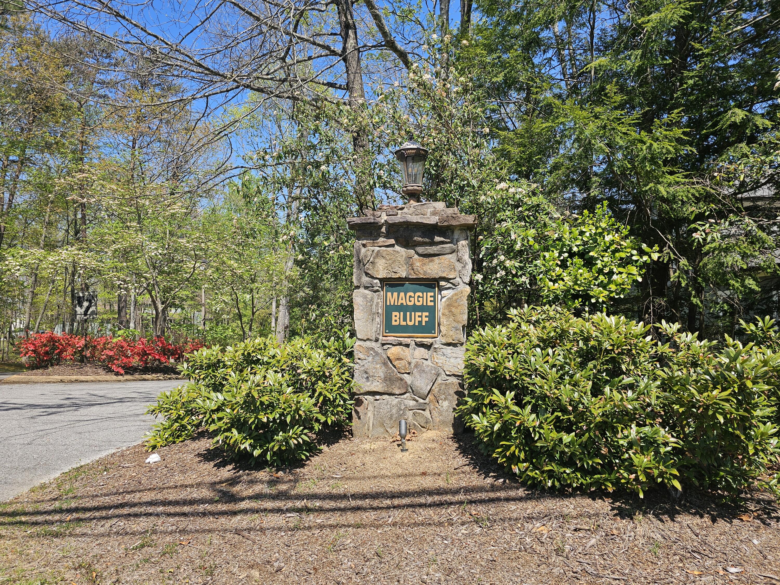 0 Maggie Bluff, Lot 6