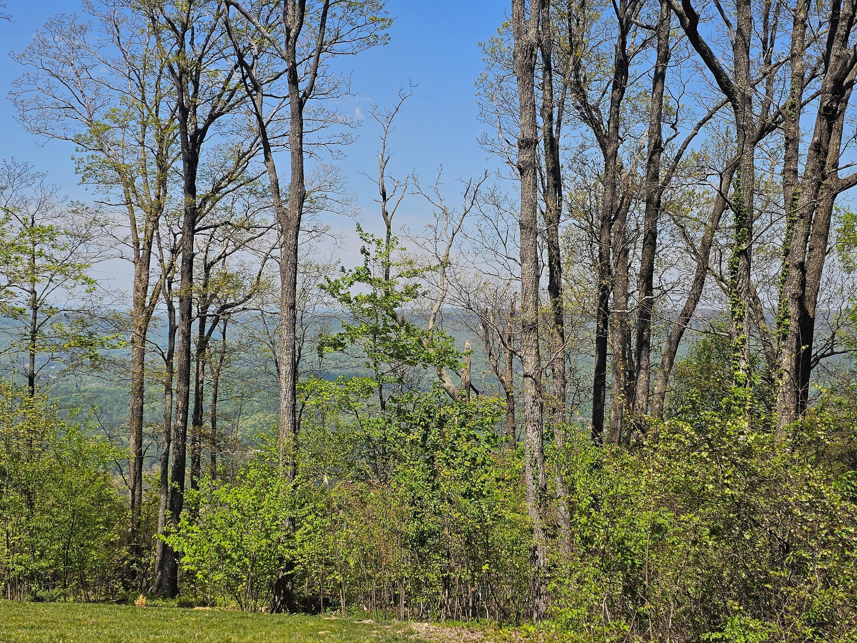 0 Maggie Bluff, Lot 6