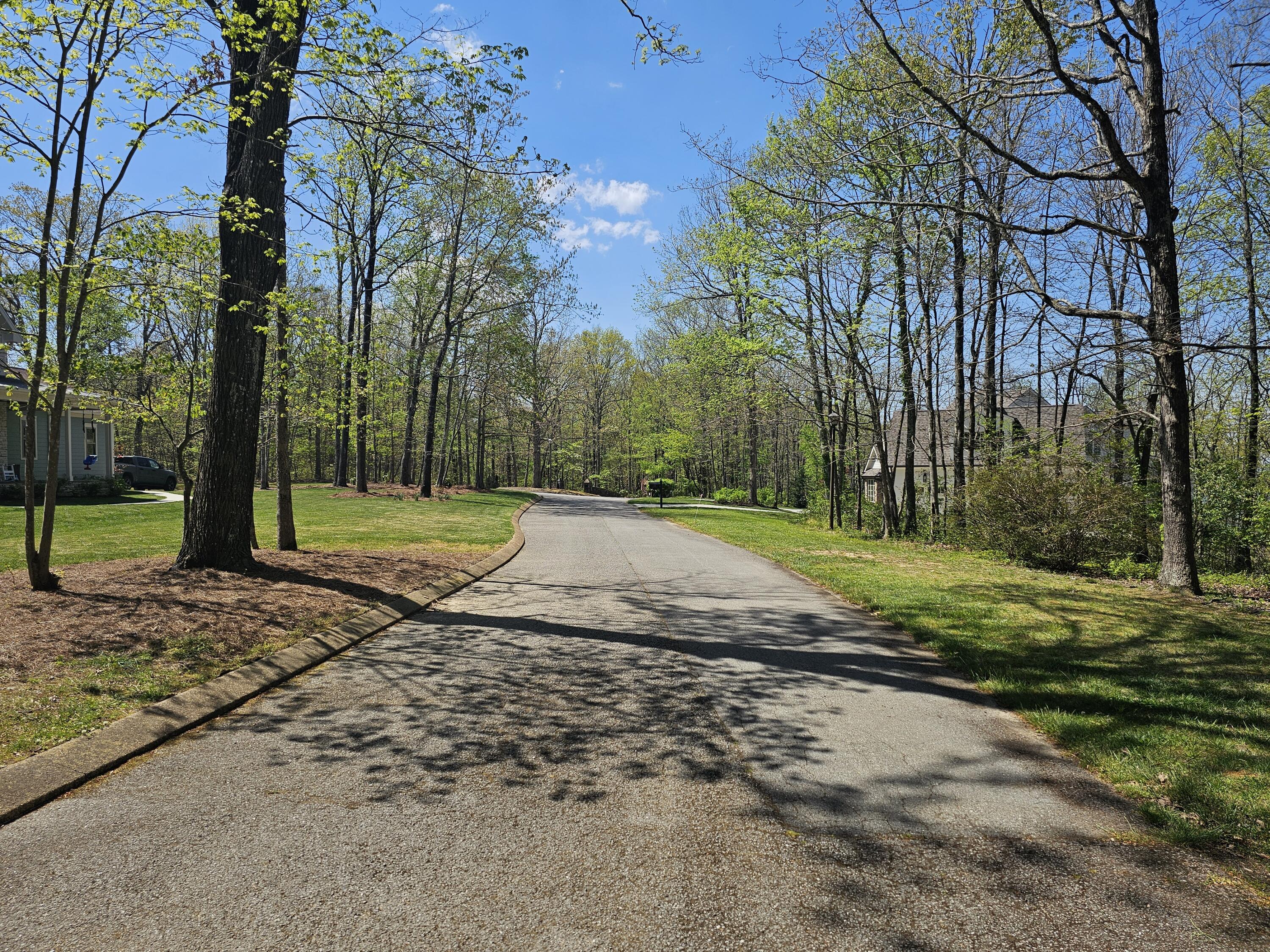 0 Maggie Bluff, Lot 6