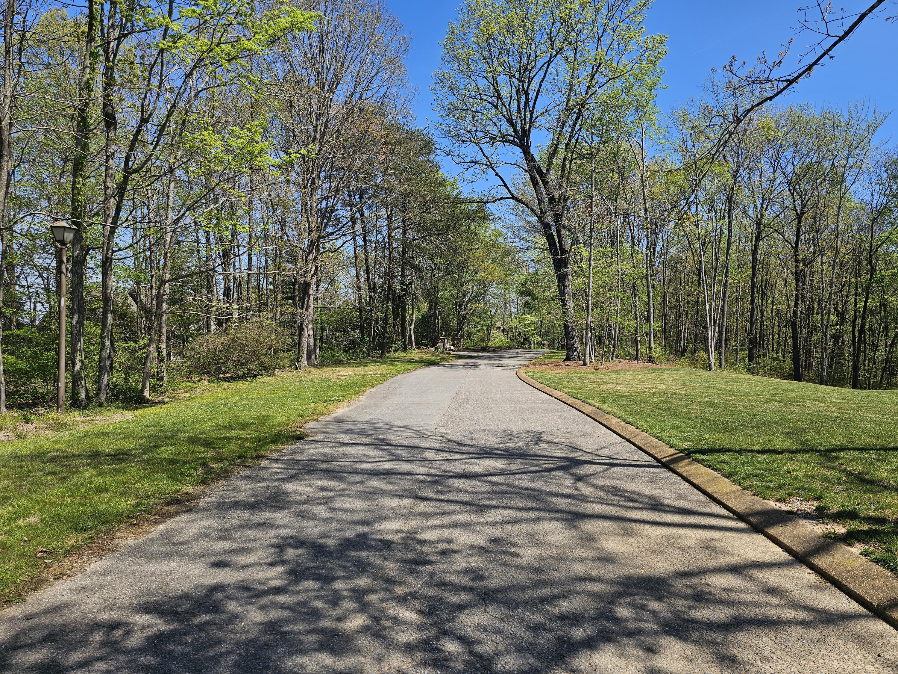 0 Maggie Bluff, Lot 6