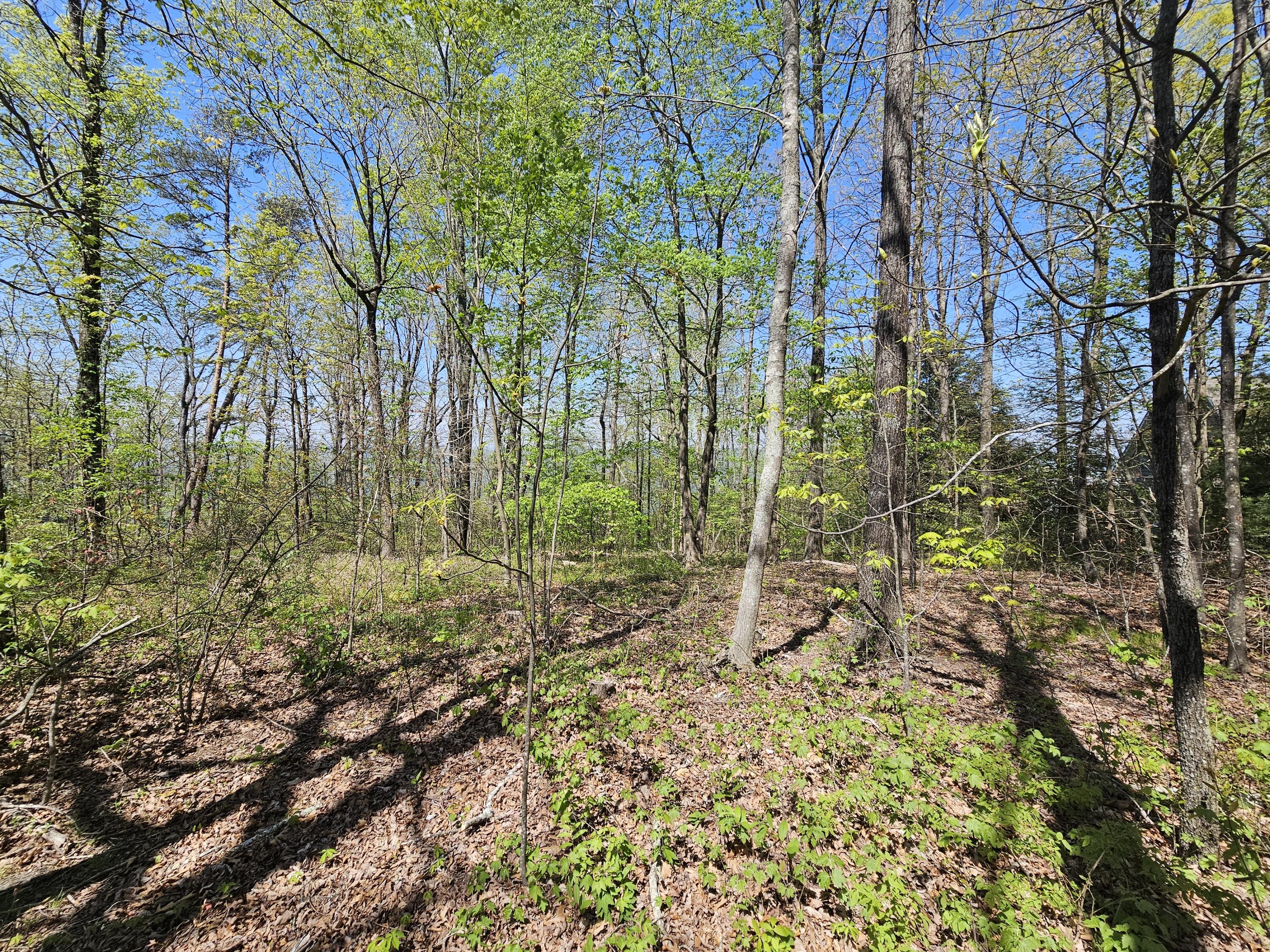 0 Maggie Bluff, Lot 6