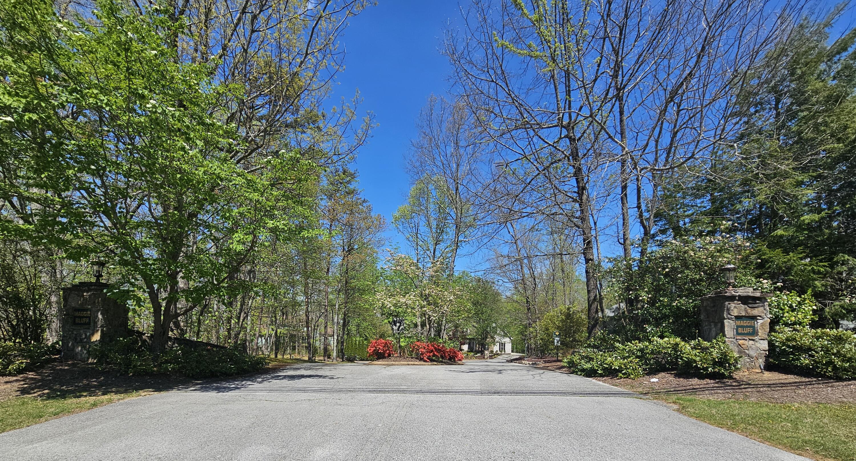 0 Maggie Bluff, Lot 6