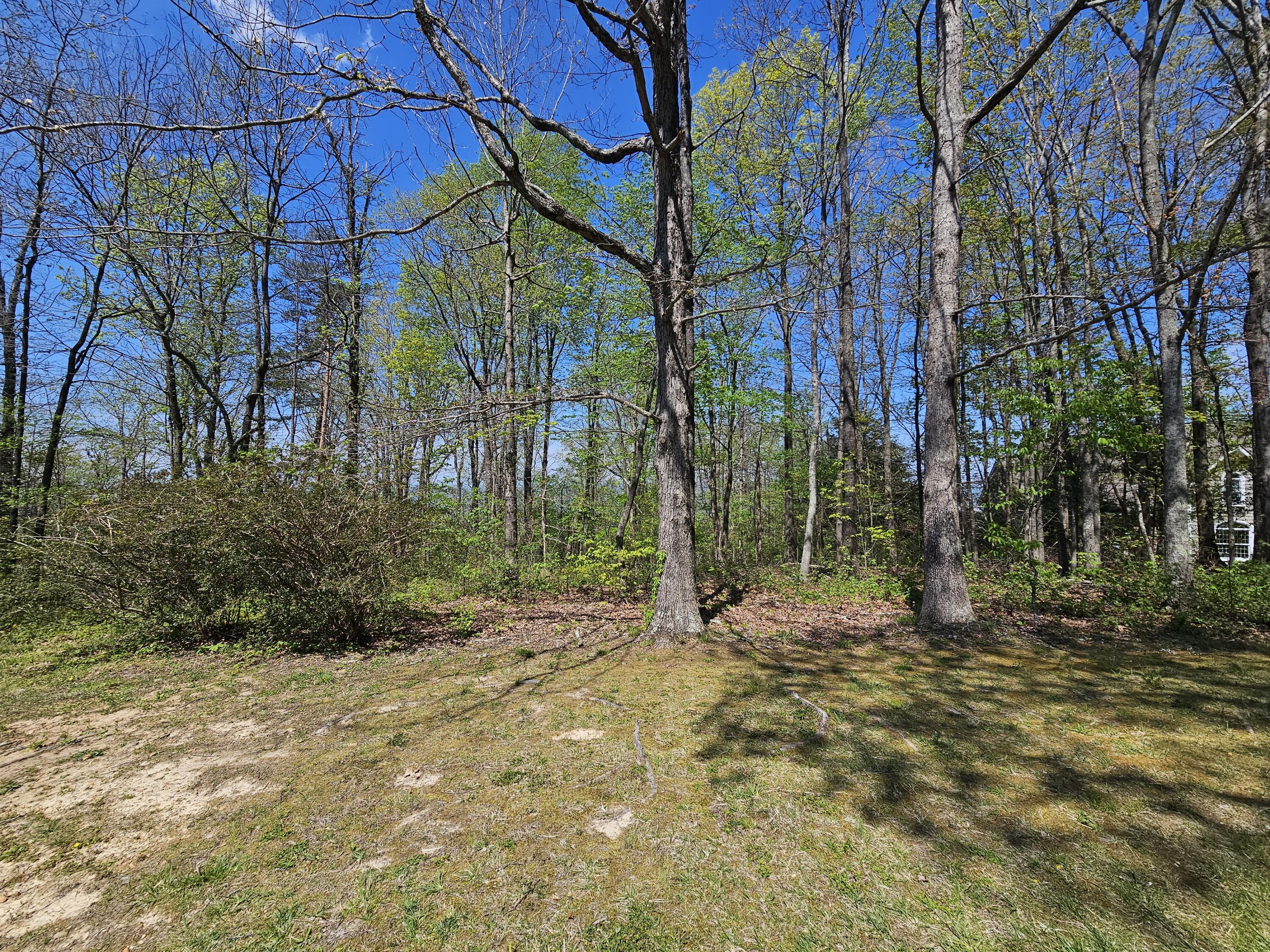 0 Maggie Bluff, Lot 6