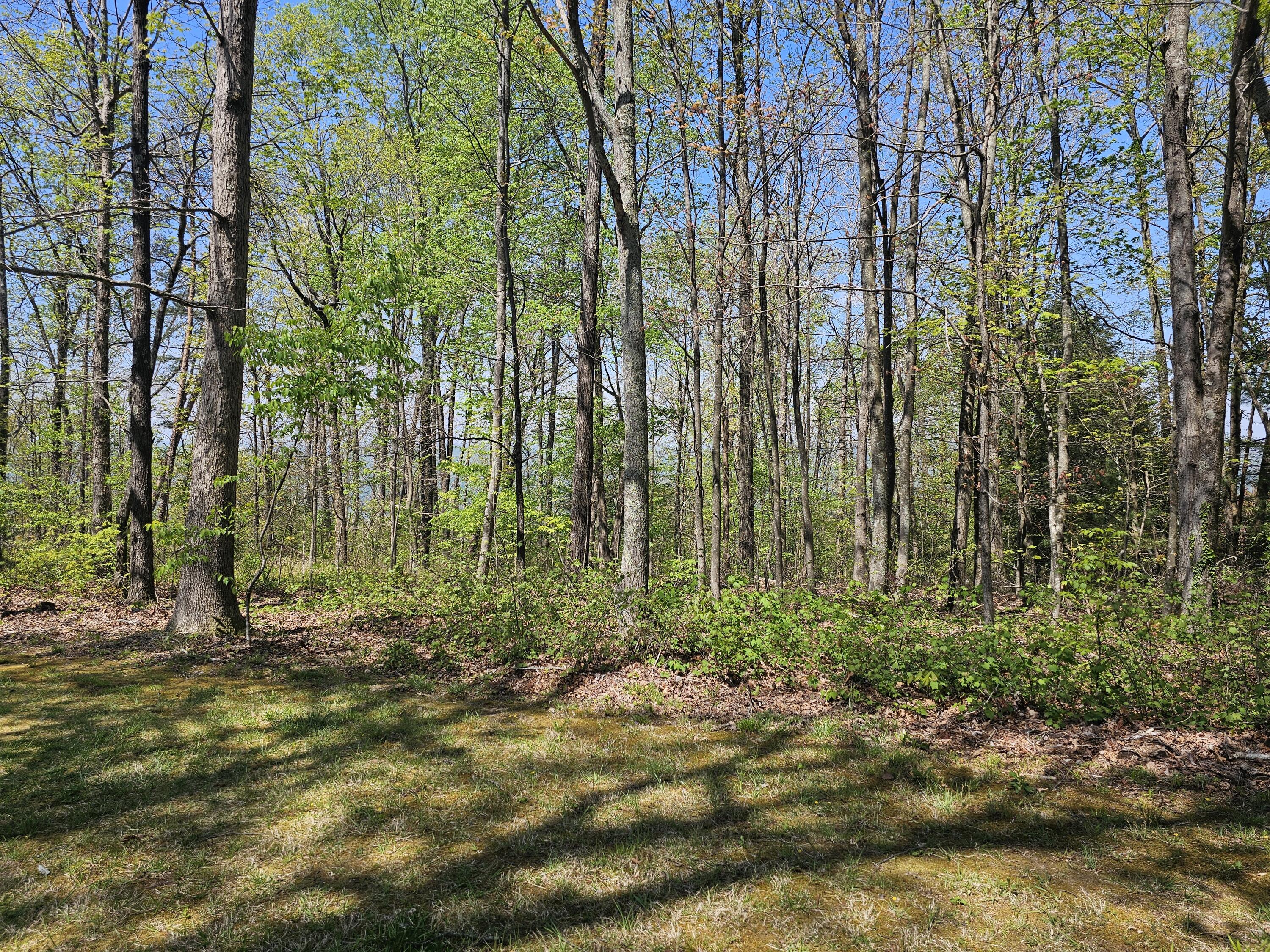 0 Maggie Bluff, Lot 6