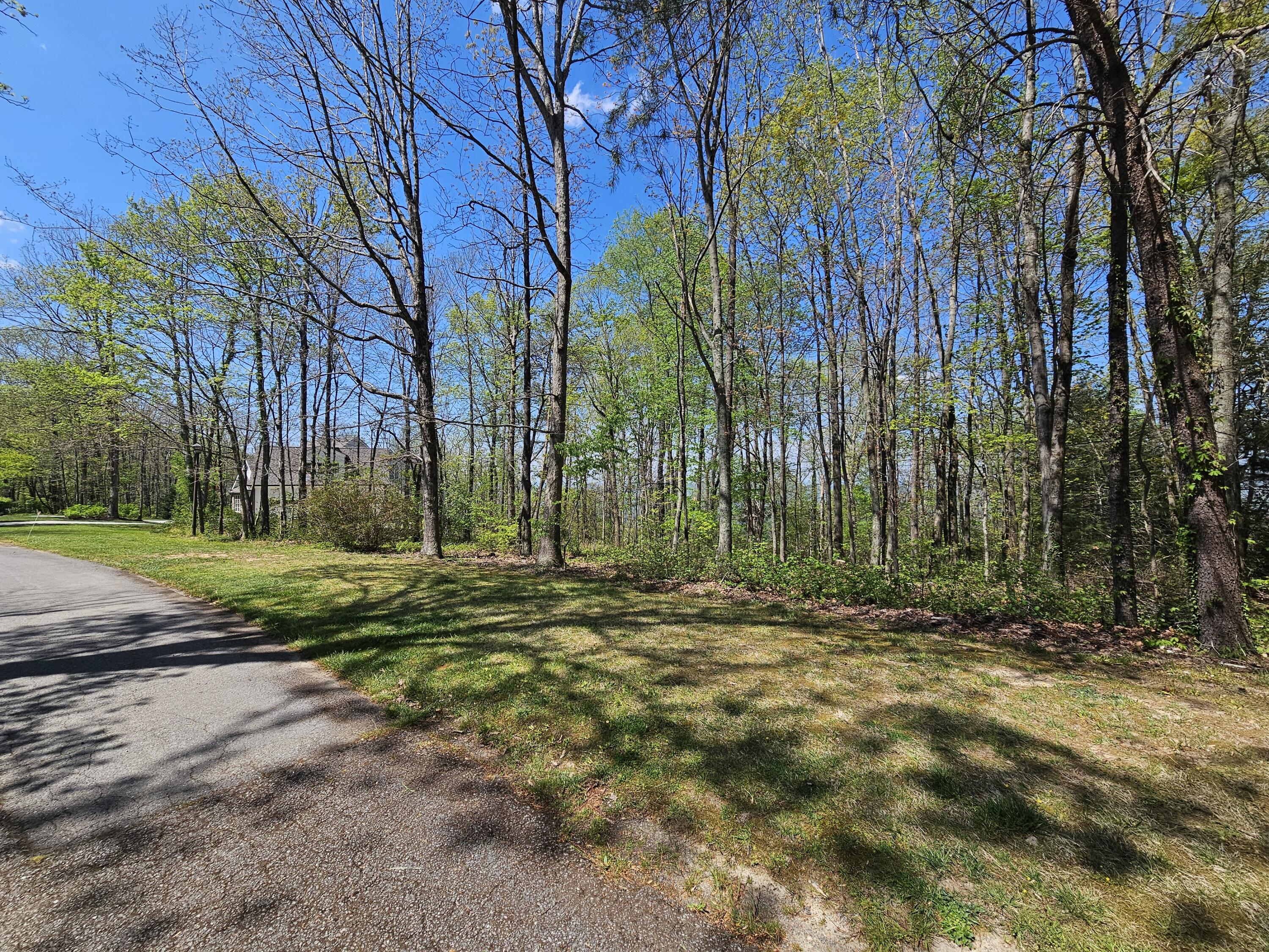 0 Maggie Bluff, Lot 6