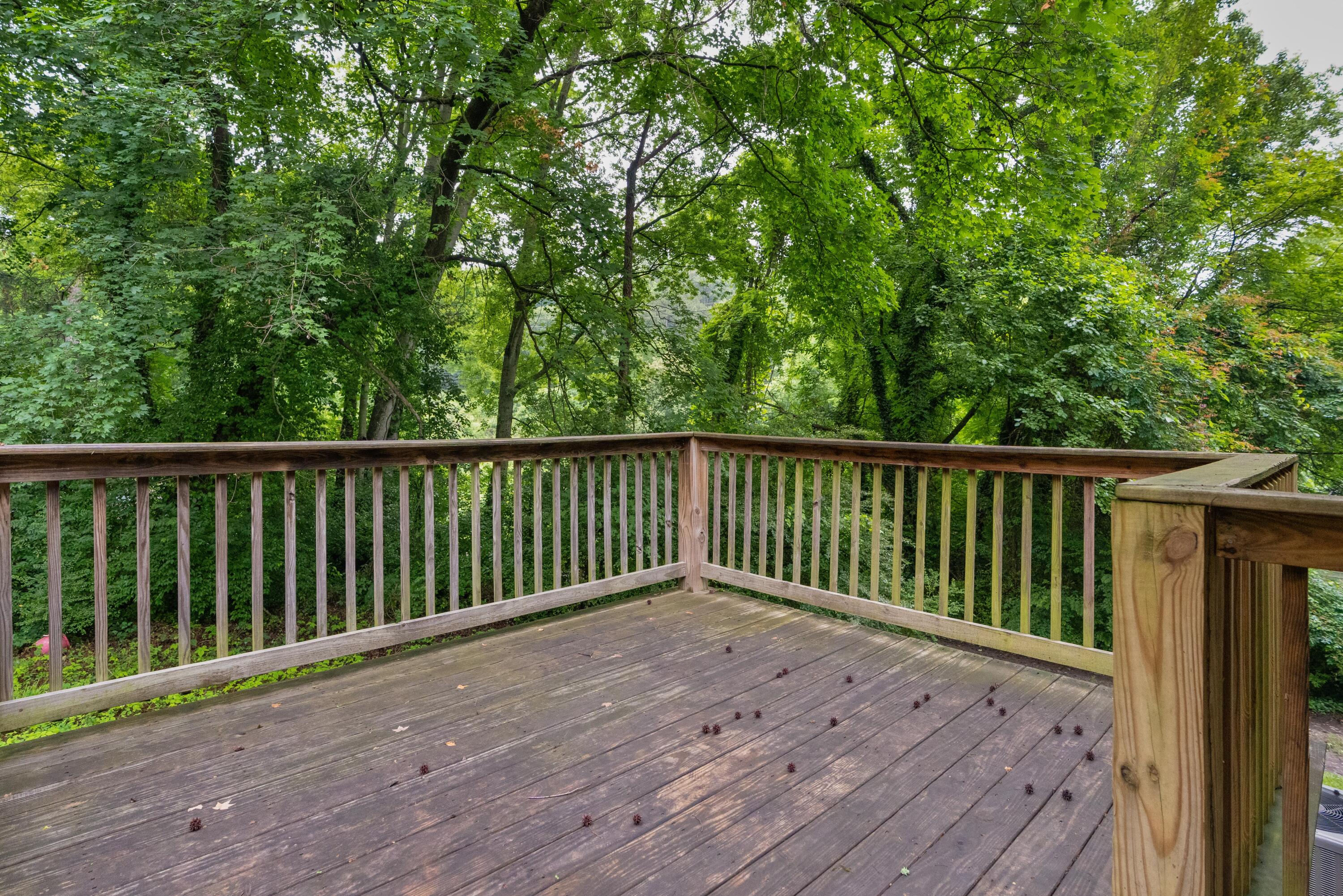 3101 Engert Drive, 1 + 2