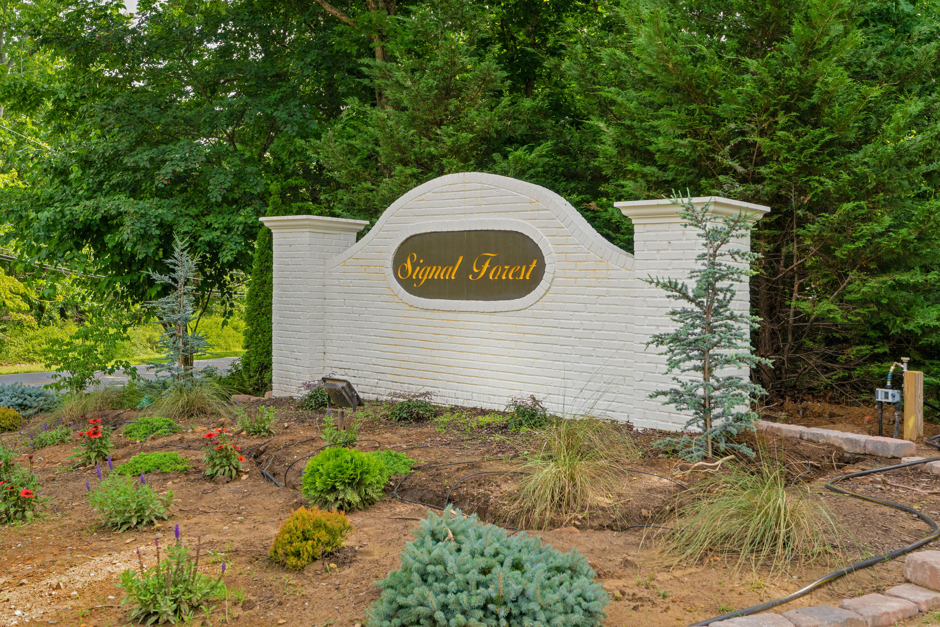 2415 Anchor Trail