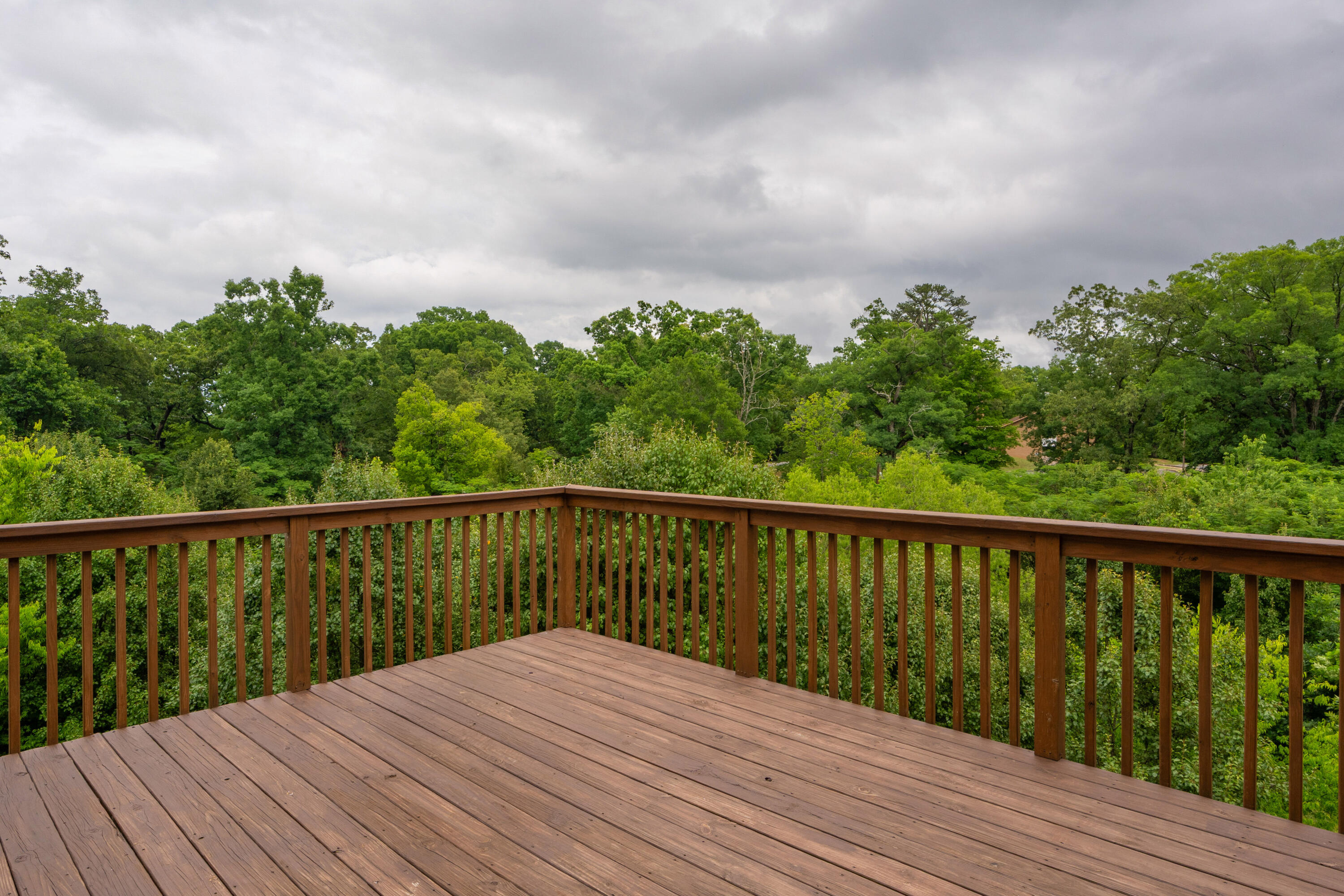 1406 Bridgeview Drive, 46
