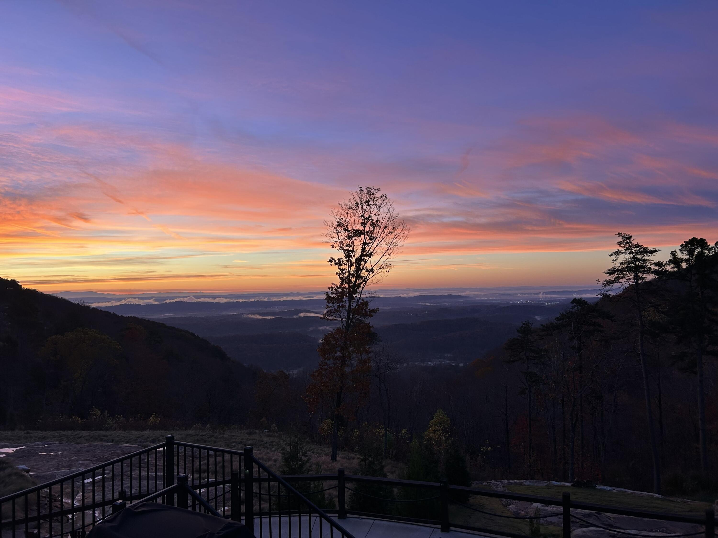 8008 Mountain Laurel Trail