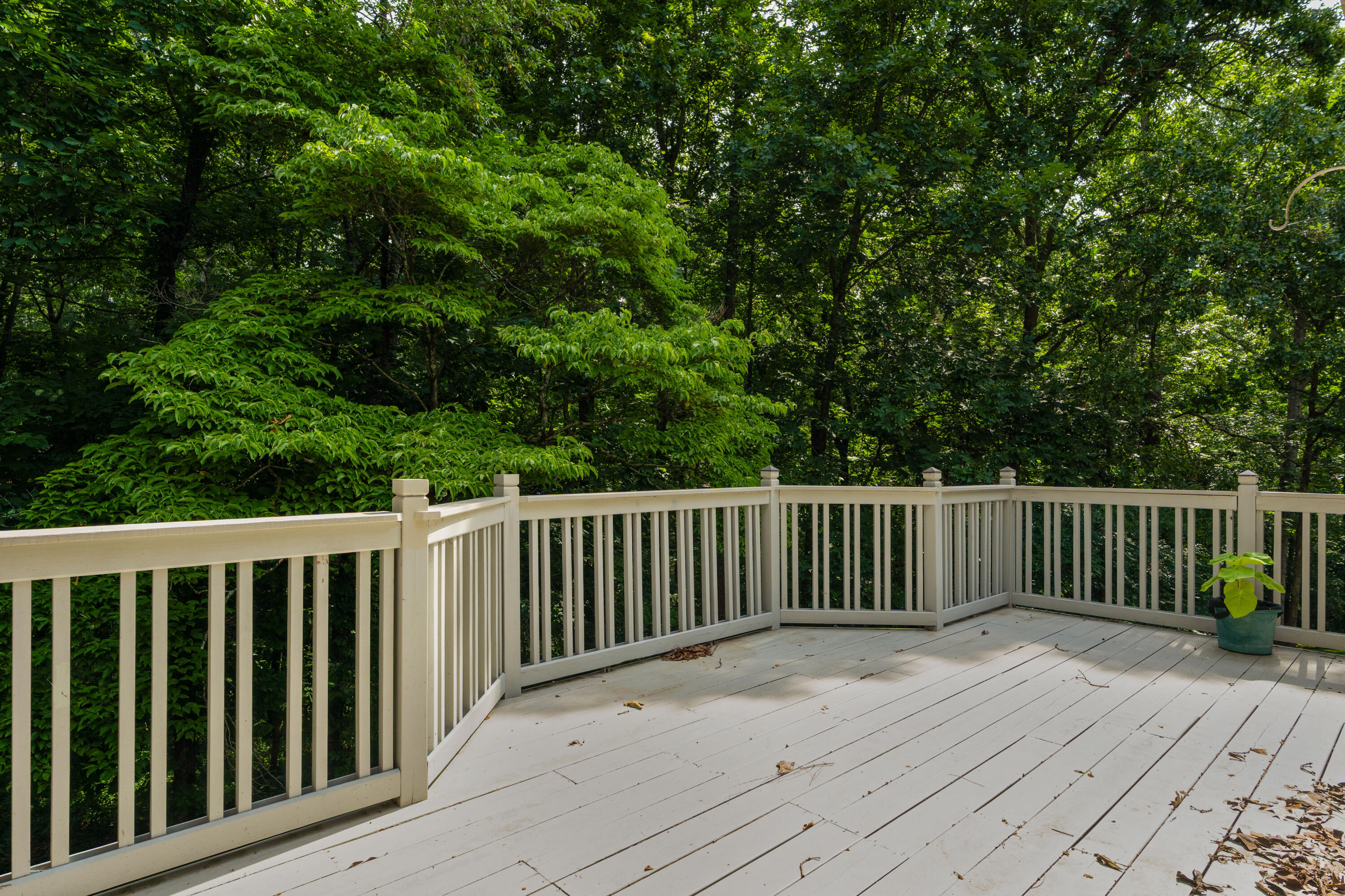 709 Rocky Shadows Drive