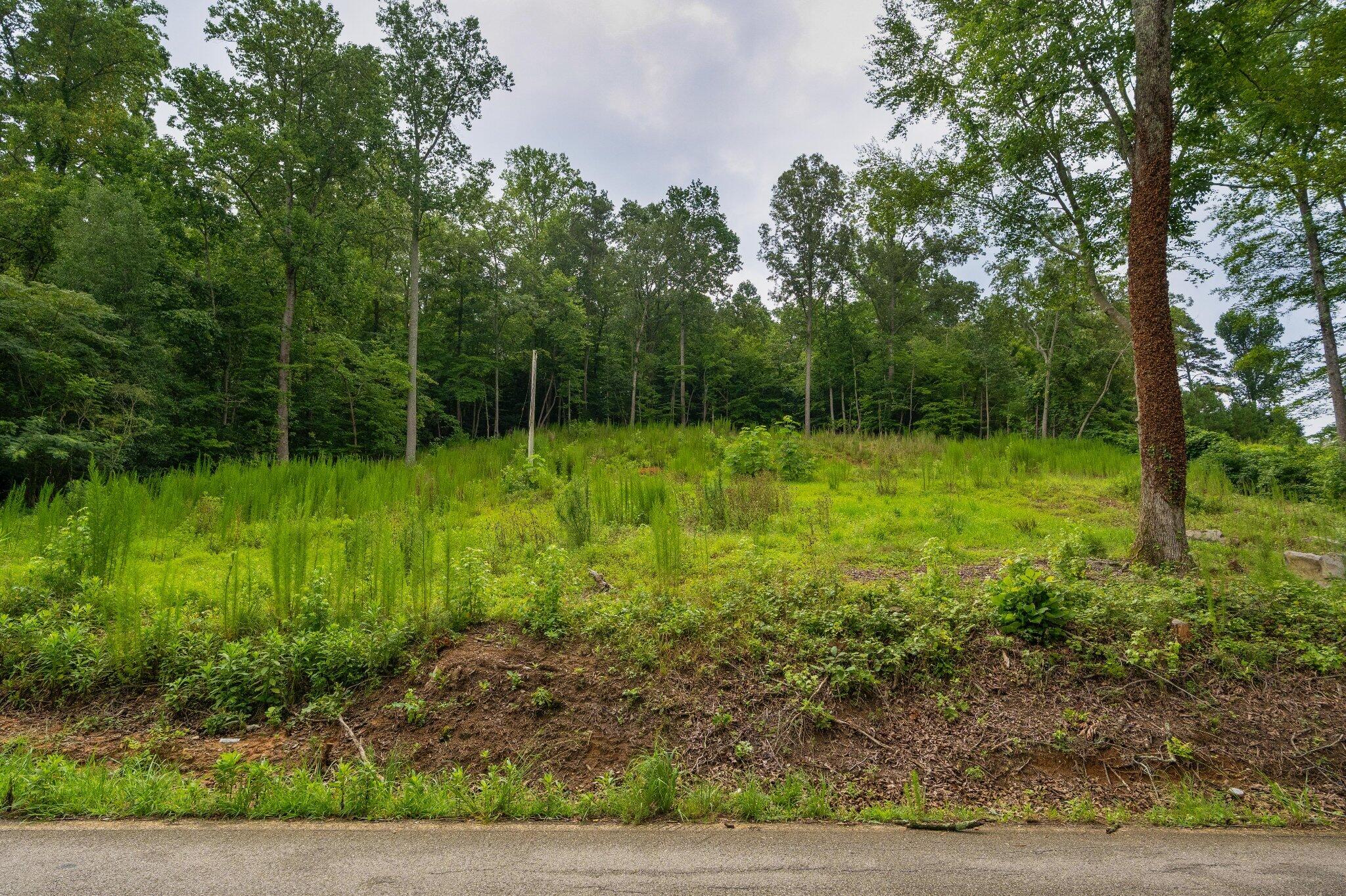 3646 Prospect Church Road