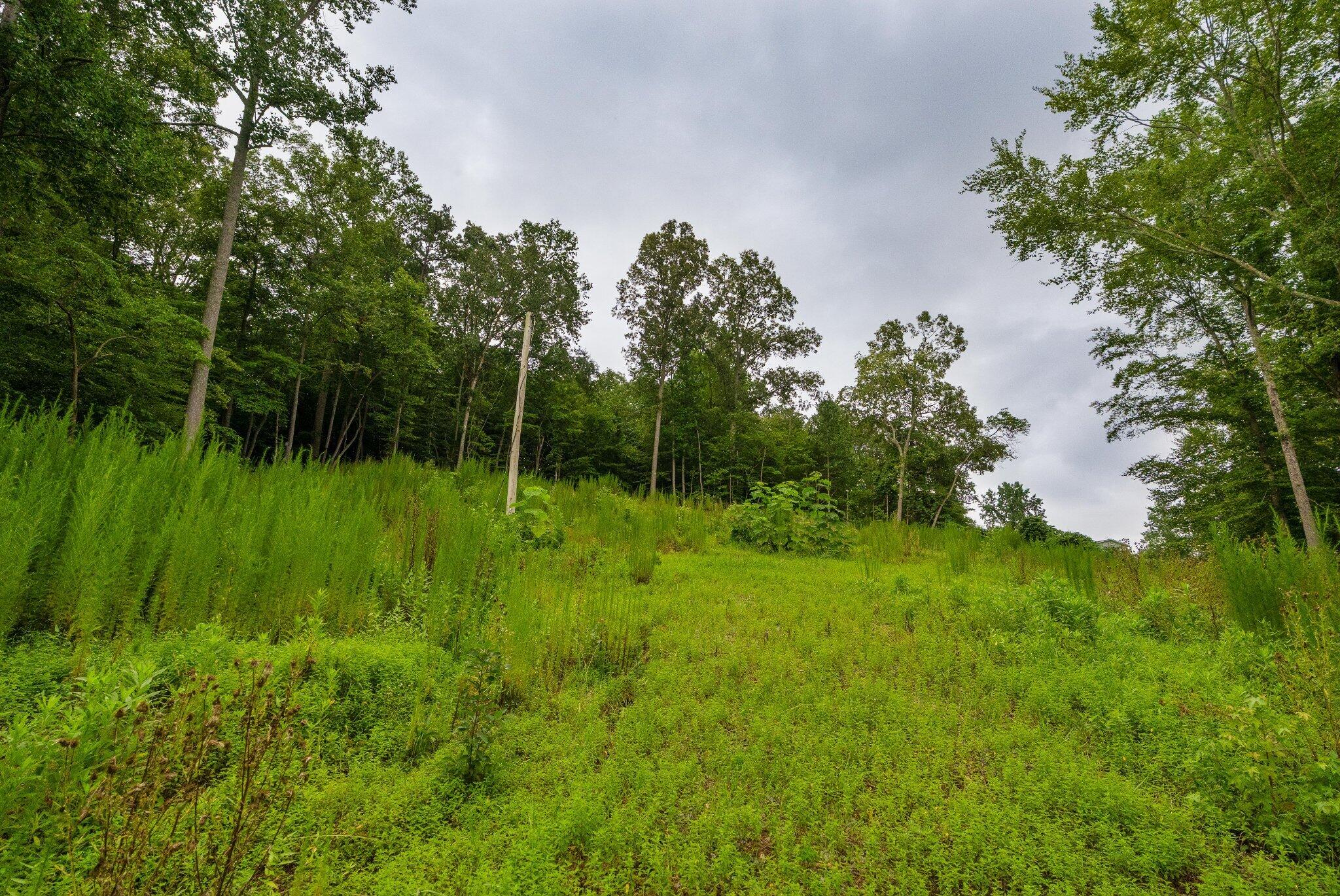 3646 Prospect Church Road