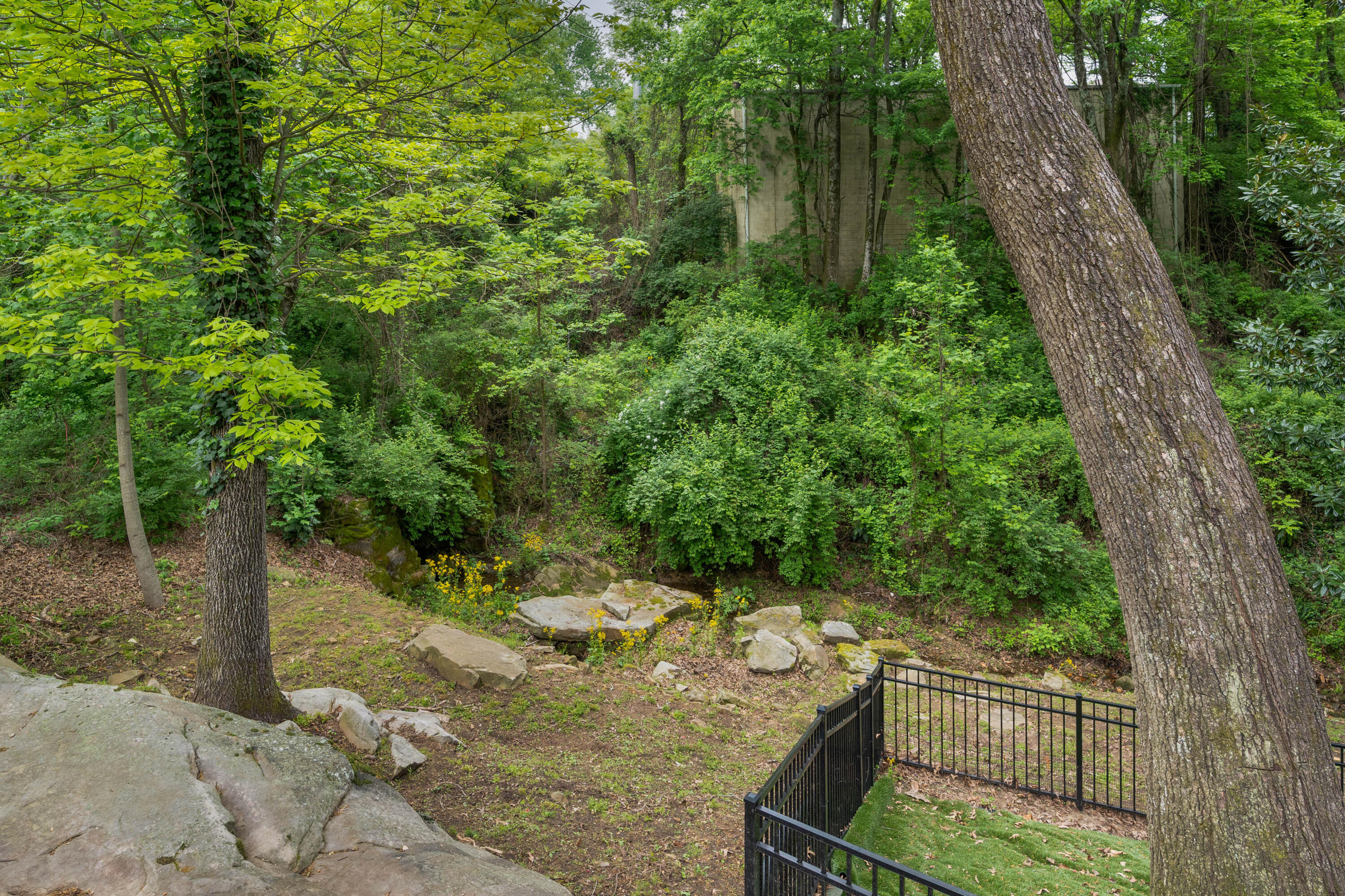 125 Fleetwood Drive