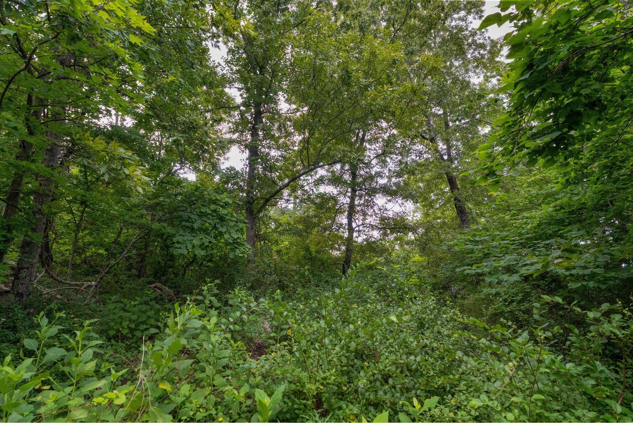 932 Cumberland Road