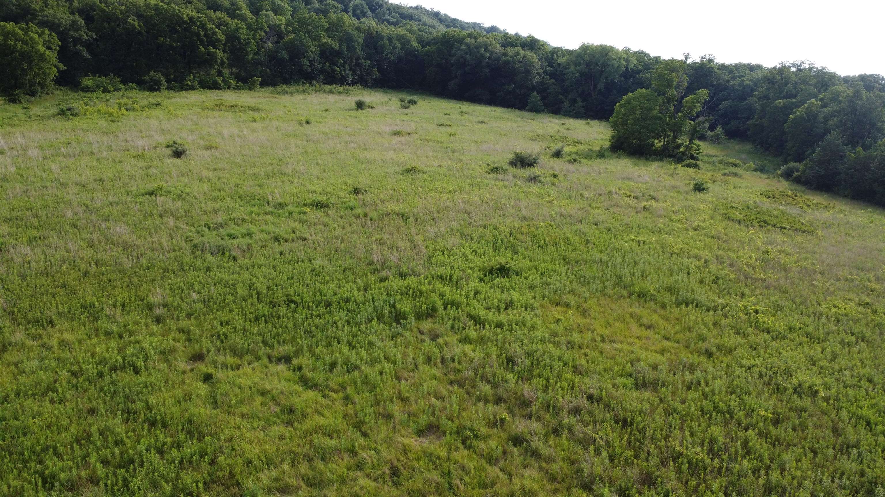 TBD W Guilford Rd