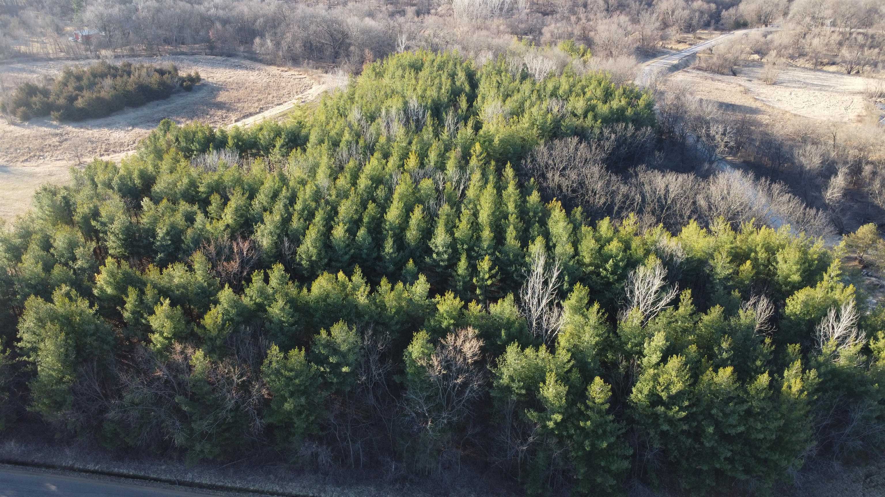 Aerial view of a wooded property with dense evergreens and a road along its edge.