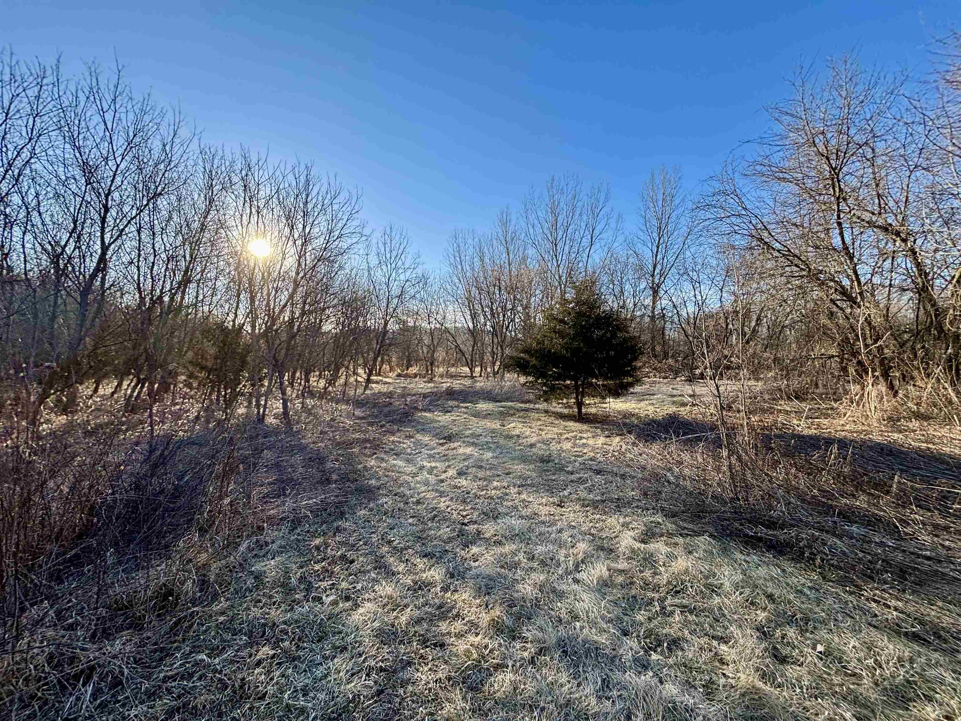 Wooded vacant lot with a frosty grassy clearing and leafless trees.