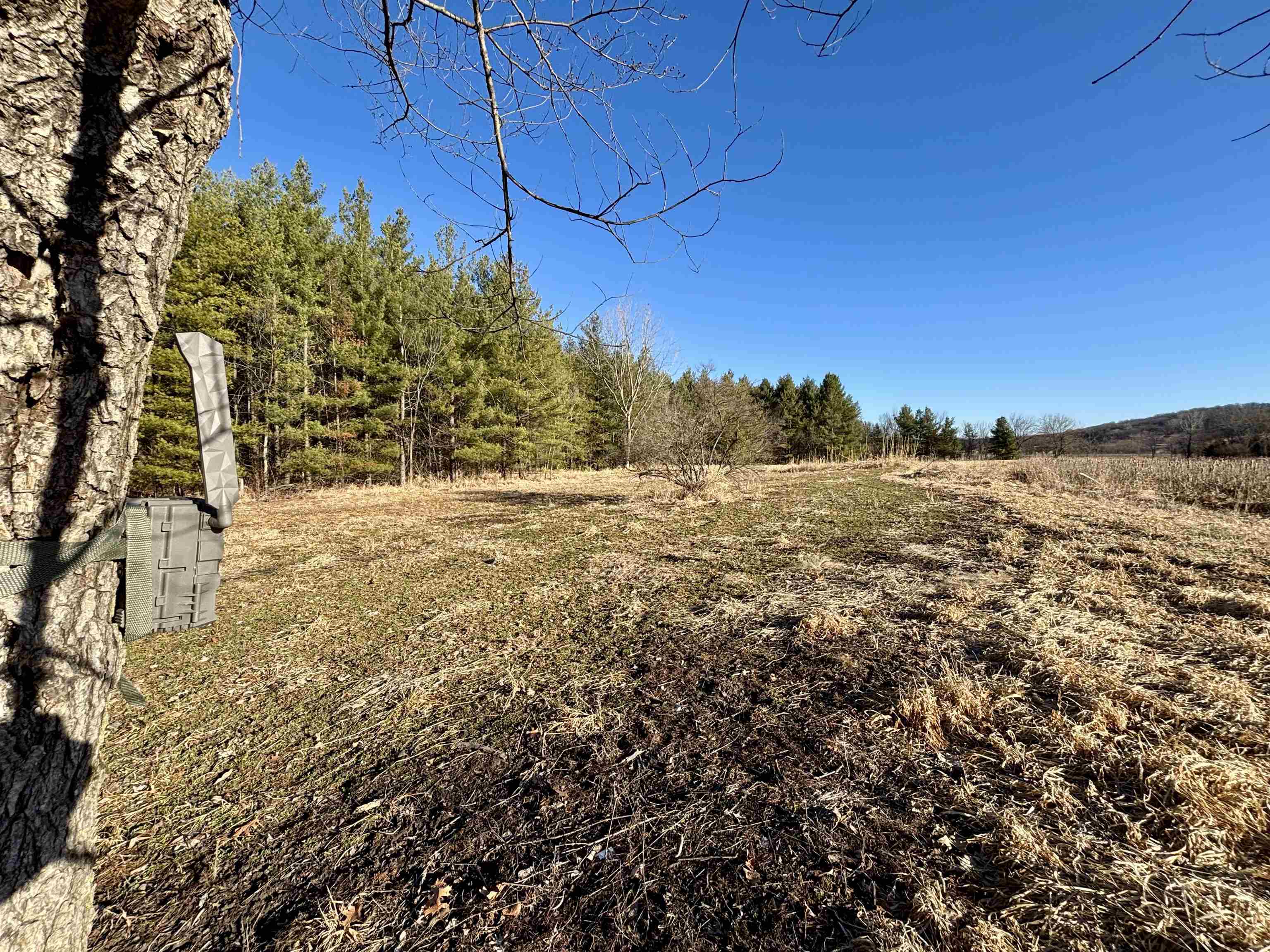 Open rural lot with dry grass, bordered by trees and woodland.