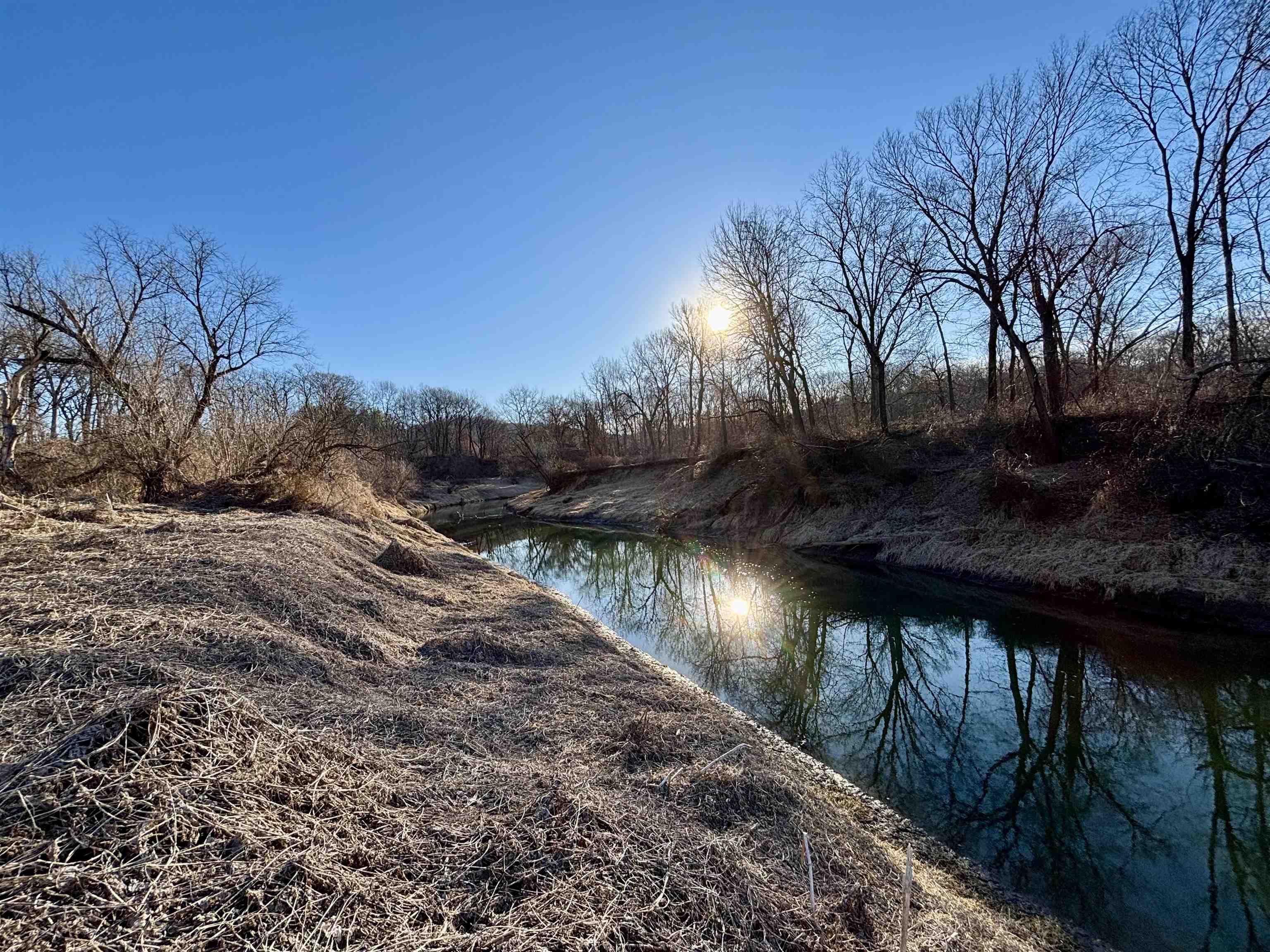 Wooded property along a creek, with leafless trees reflected in the water.