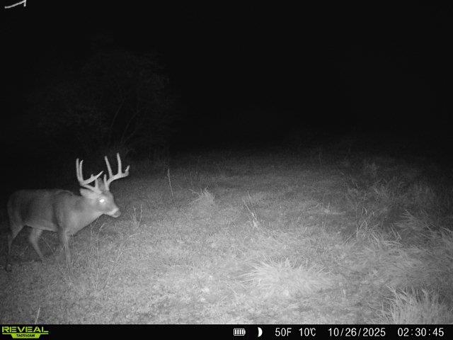 20 Acres +/- TBD S. Crazy Hollow Road
