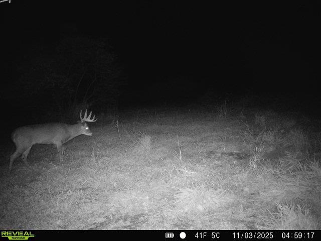 20 Acres +/- TBD S. Crazy Hollow Road