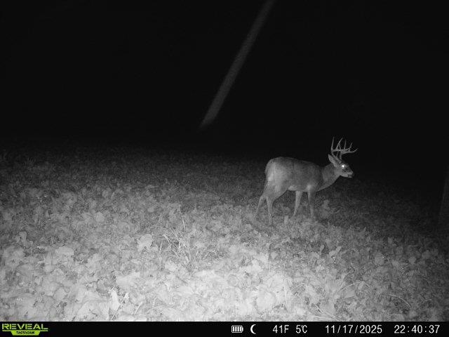 20 Acres +/- TBD S. Crazy Hollow Road
