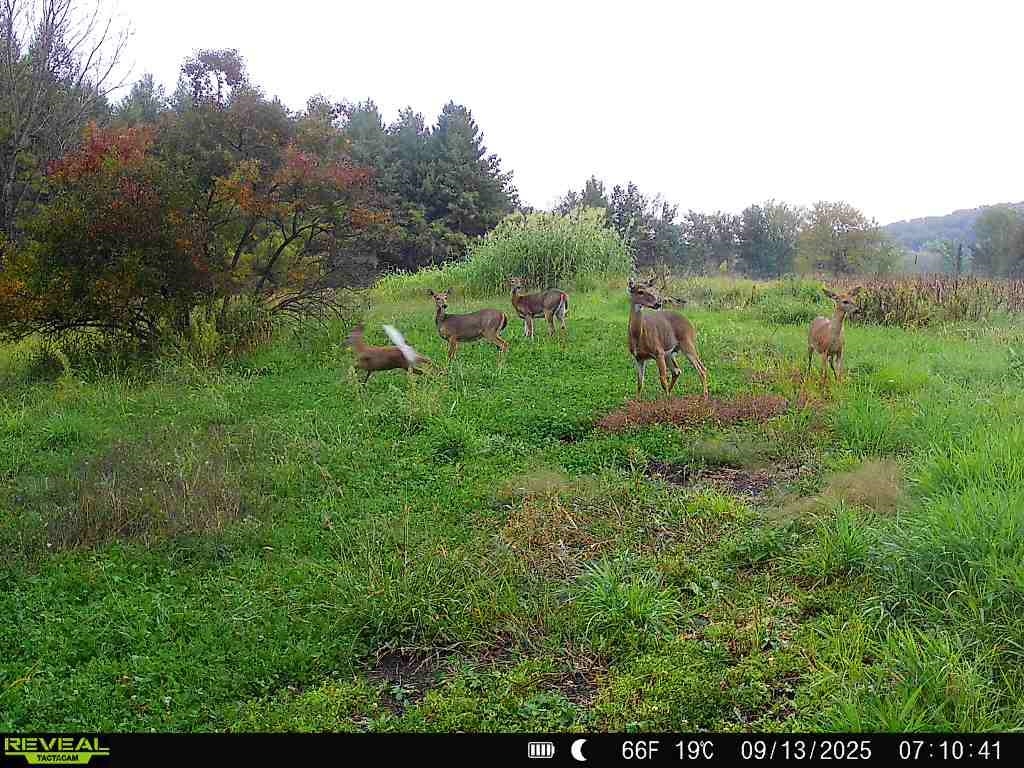 20 Acres +/- TBD S. Crazy Hollow Road