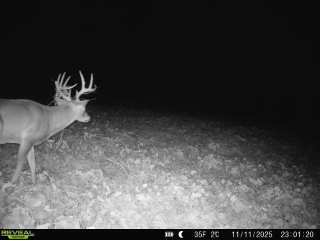 20 Acres +/- TBD S. Crazy Hollow Road