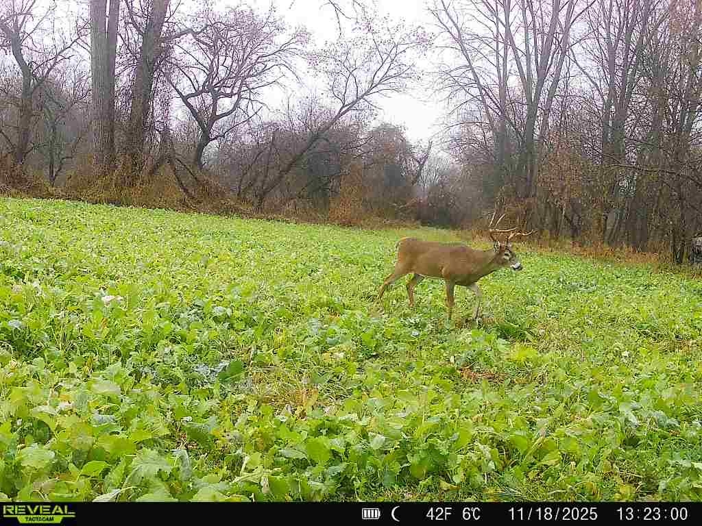20 Acres +/- TBD S. Crazy Hollow Road