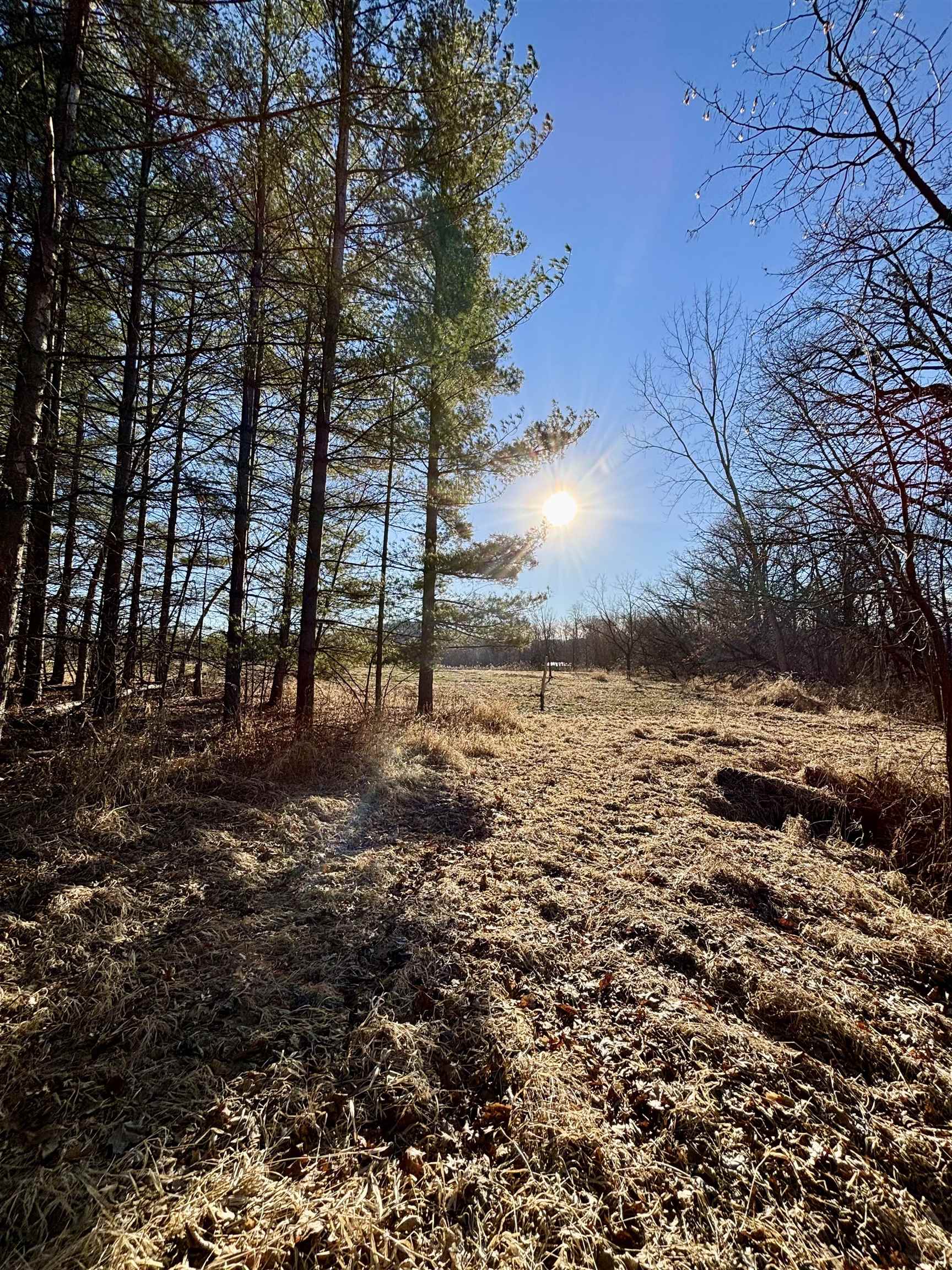 20 Acres +/- TBD S. Crazy Hollow Road