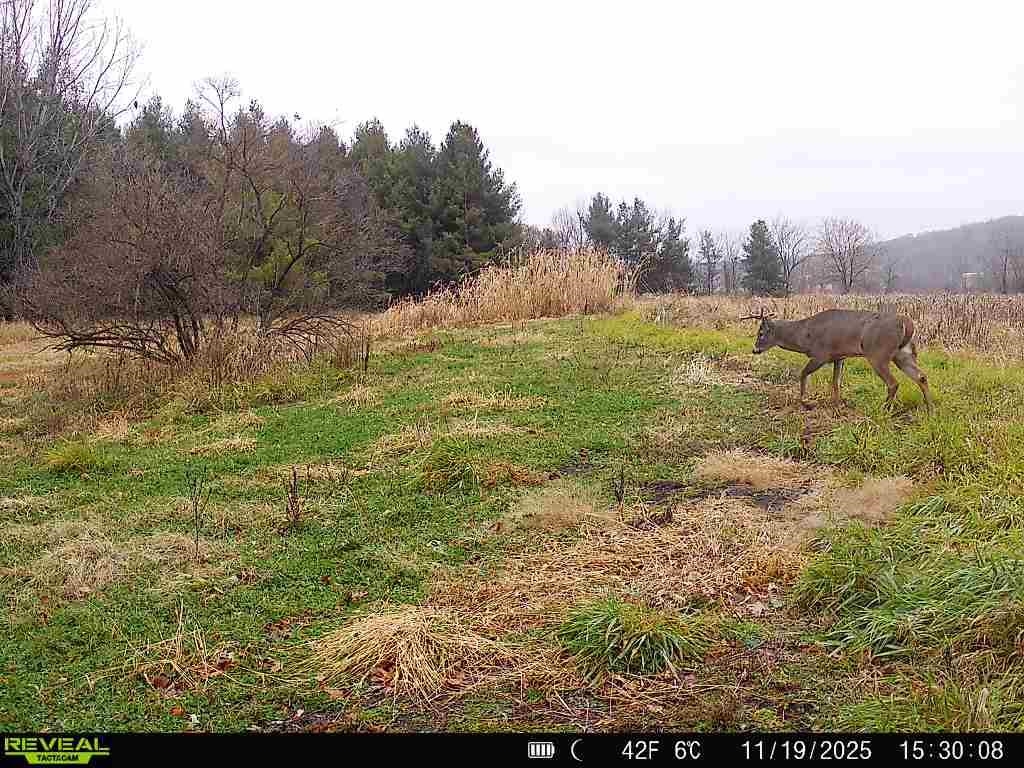 20 Acres +/- TBD S. Crazy Hollow Road