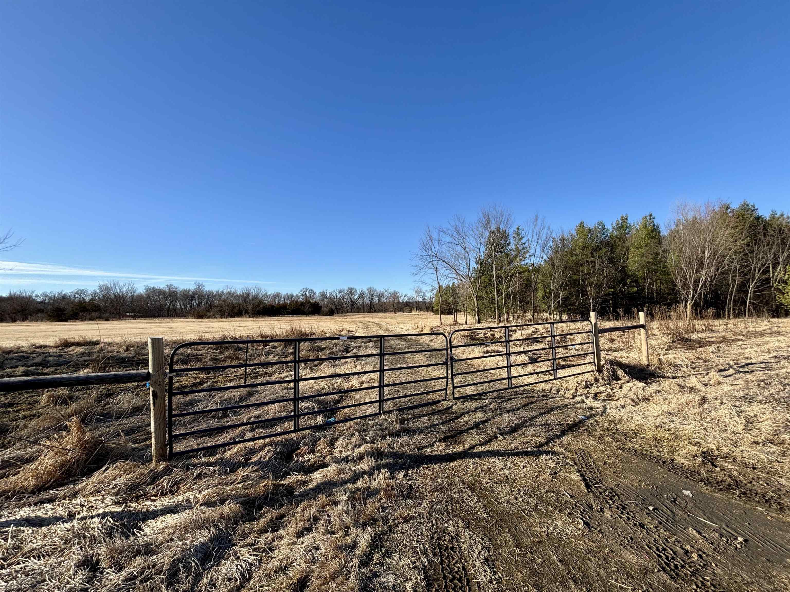 20 Acres +/- TBD S. Crazy Hollow Road