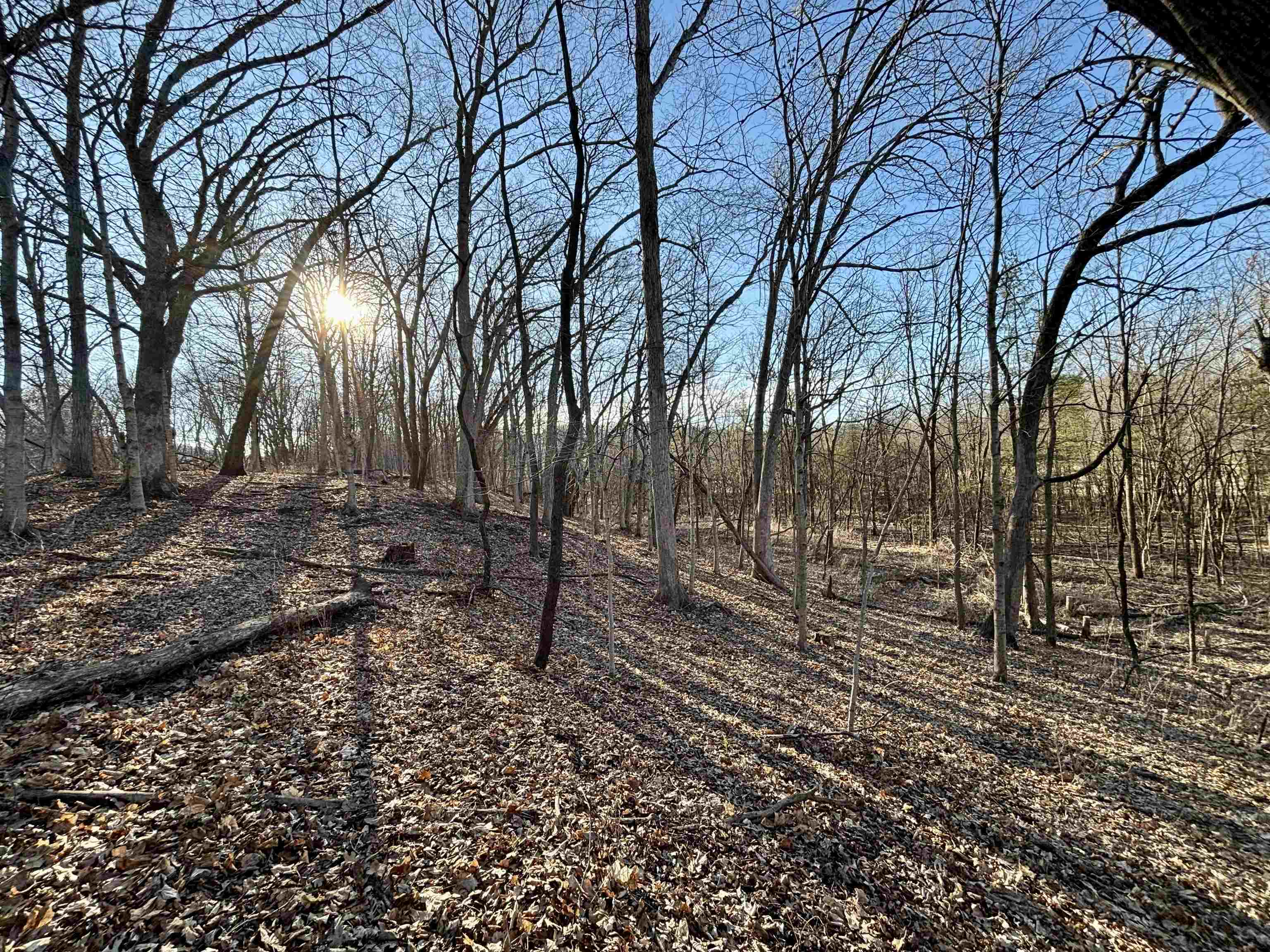 20 Acres +/- TBD S. Crazy Hollow Road