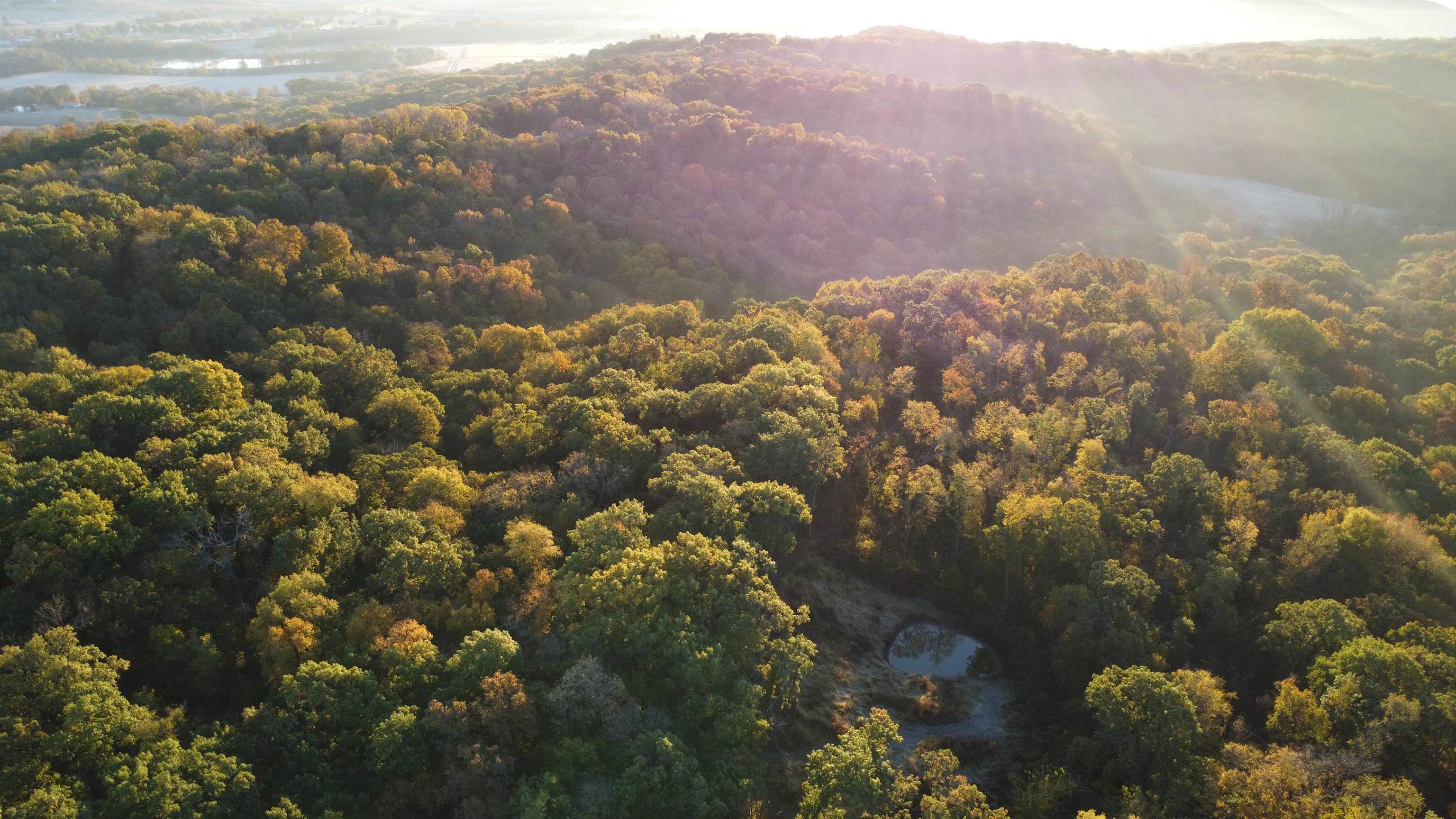 78+/- Acres TBD W Blanding Road