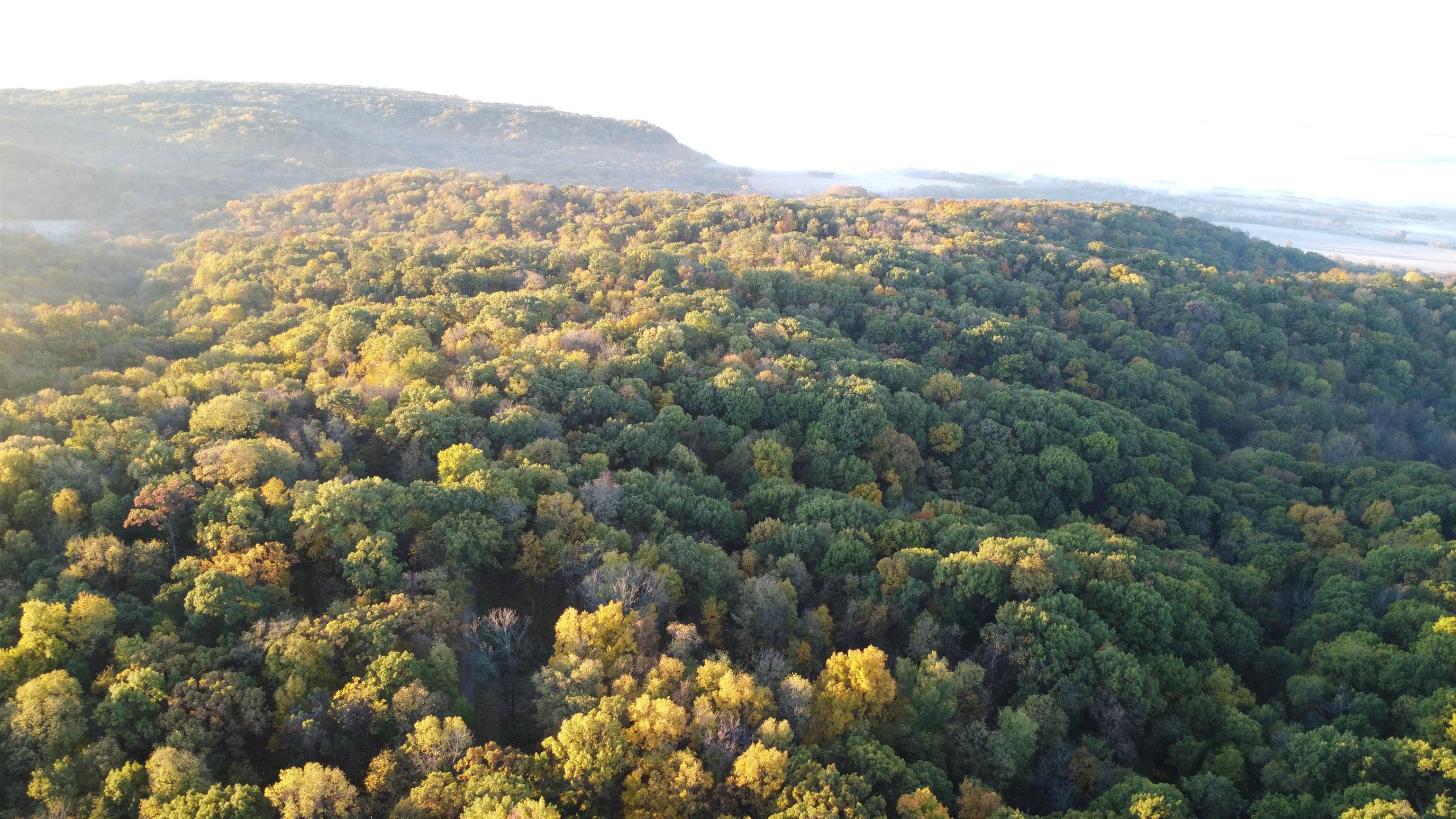 78+/- Acres TBD W Blanding Road