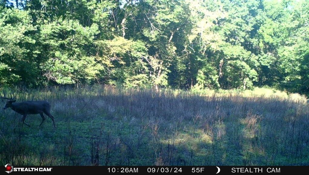 78+/- Acres TBD W Blanding Road