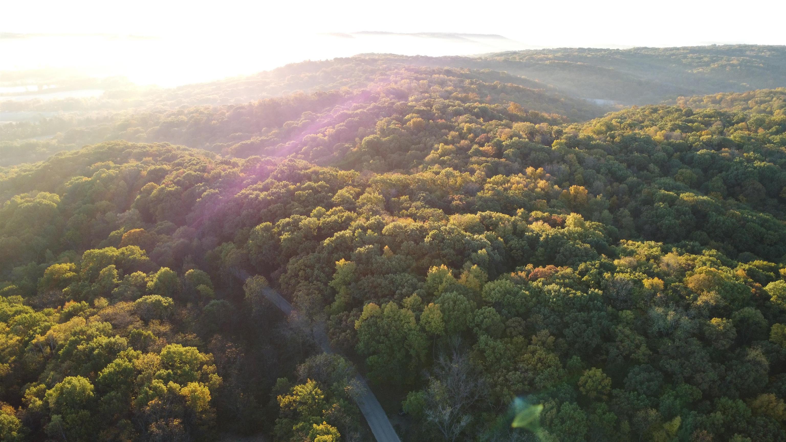 78+/- Acres TBD W Blanding Road