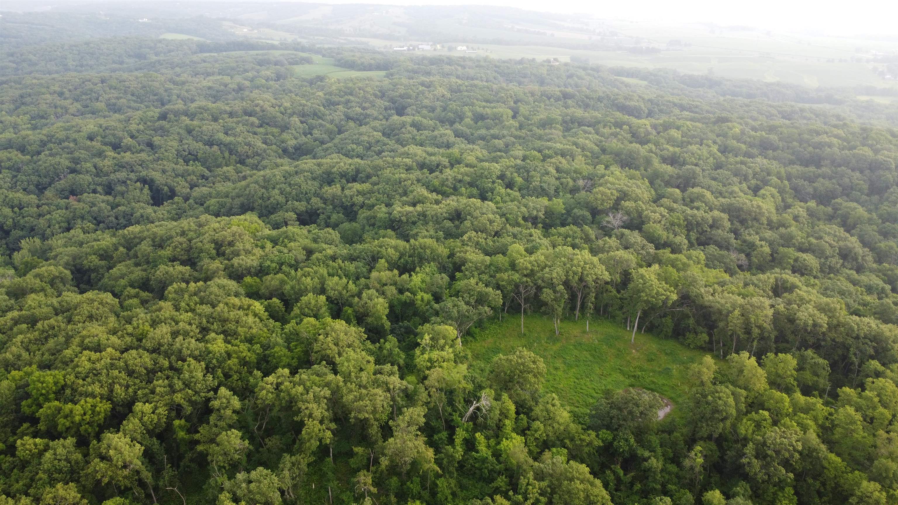 78+/- Acres TBD W Blanding Road